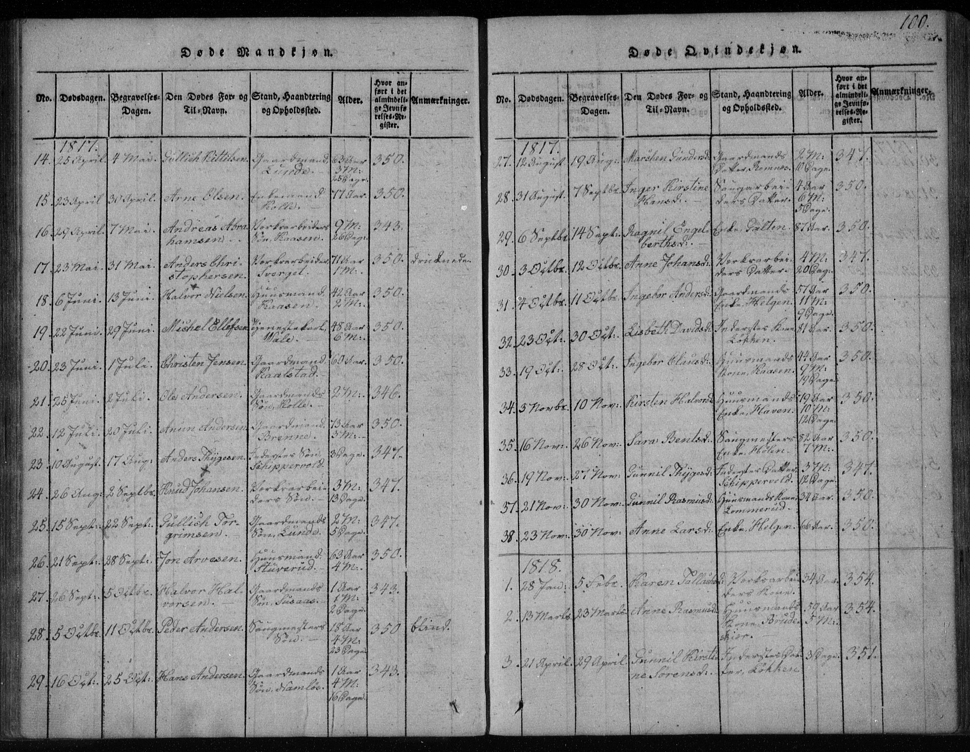 Holla kirkebøker, AV/SAKO-A-272/F/Fa/L0003: Parish register (official) no. 3, 1815-1830, p. 100