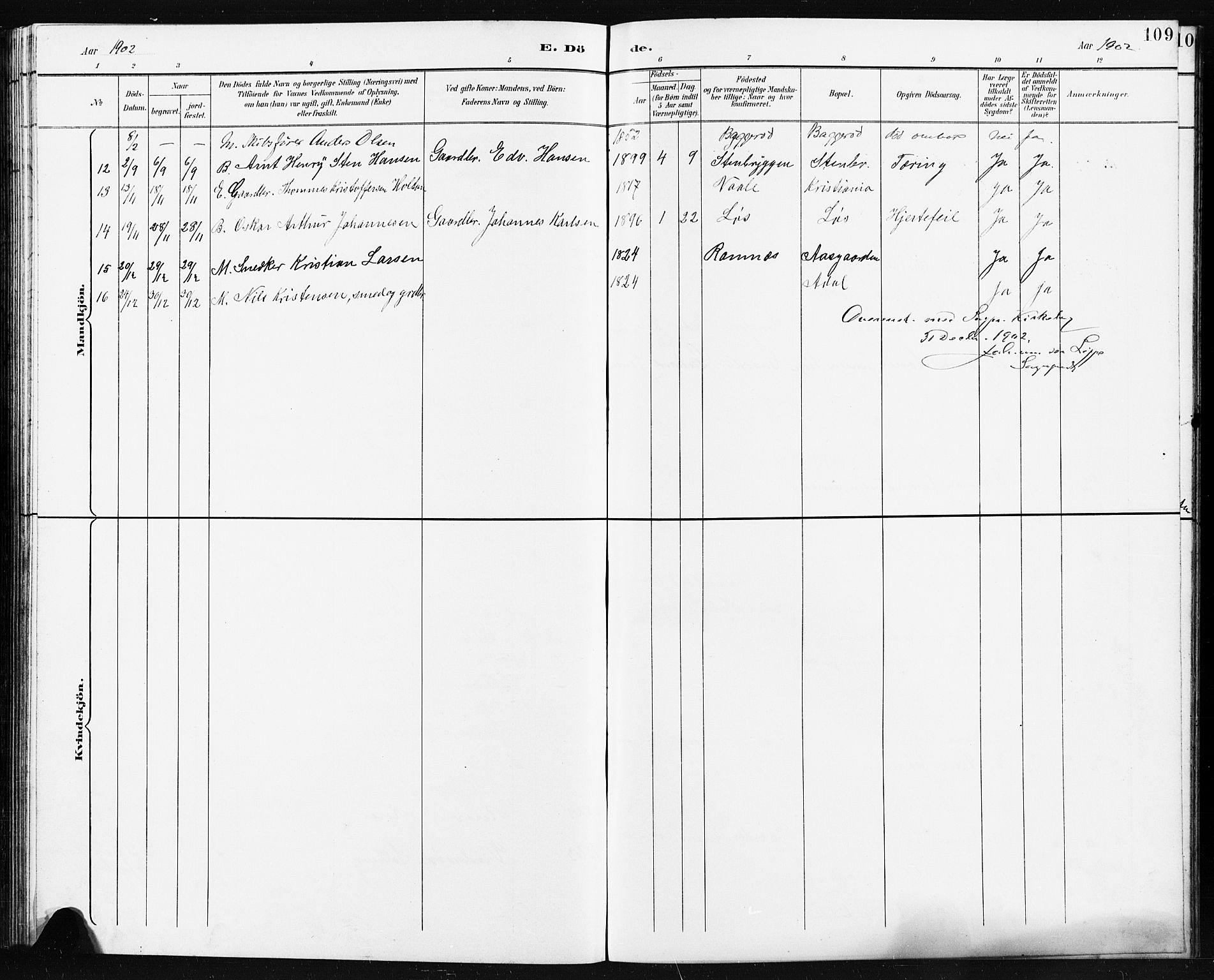 Borre kirkebøker, AV/SAKO-A-338/G/Ga/L0004: Parish register (copy) no. I 4, 1892-1913, p. 109