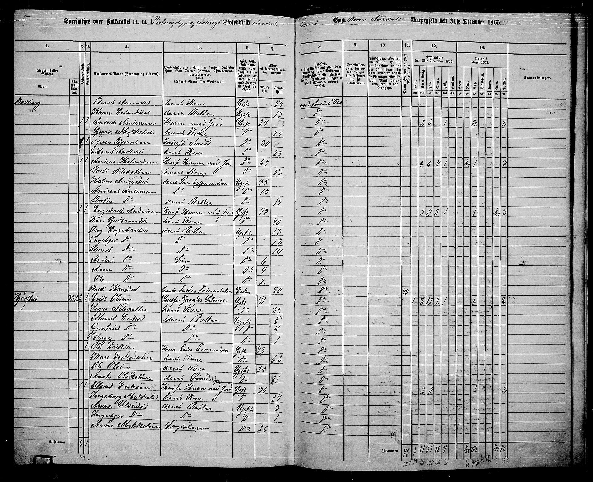 RA, 1865 census for Nord-Aurdal, 1865, p. 218