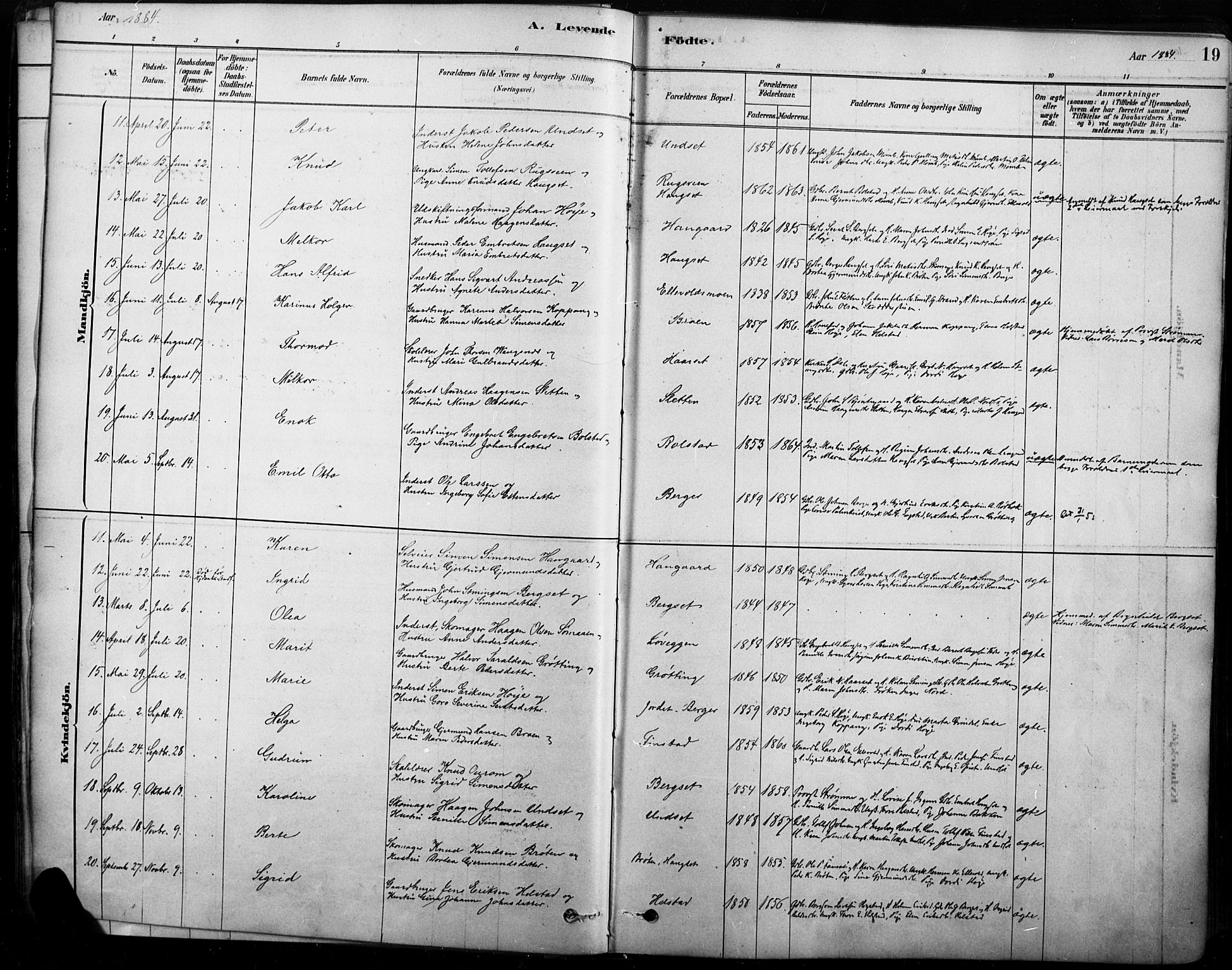 Rendalen prestekontor, SAH/PREST-054/H/Ha/Haa/L0009: Parish register (official) no. 9, 1878-1901, p. 19