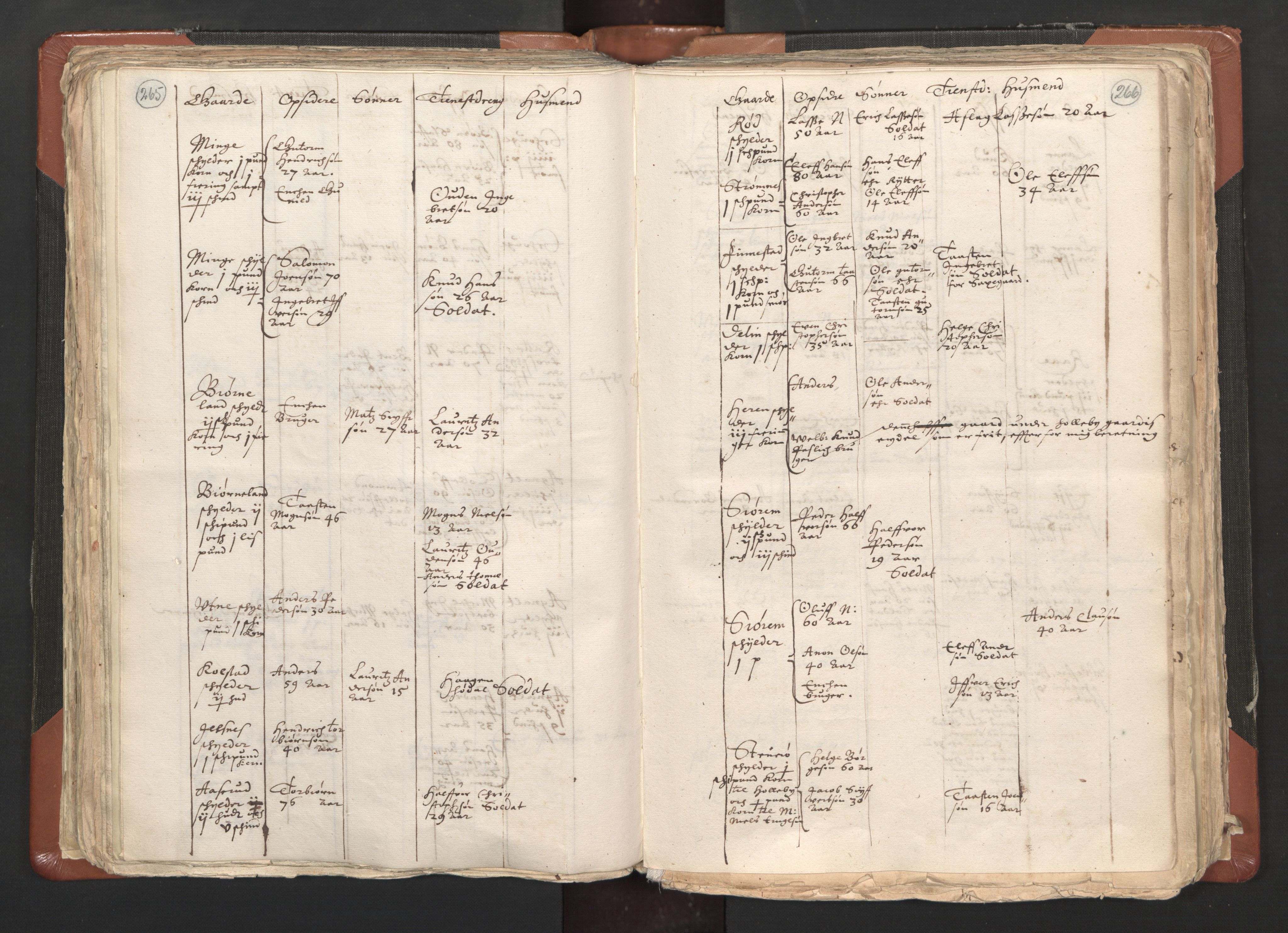 RA, Vicar's Census 1664-1666, no. 1: Nedre Borgesyssel deanery, 1664-1666, p. 265-266