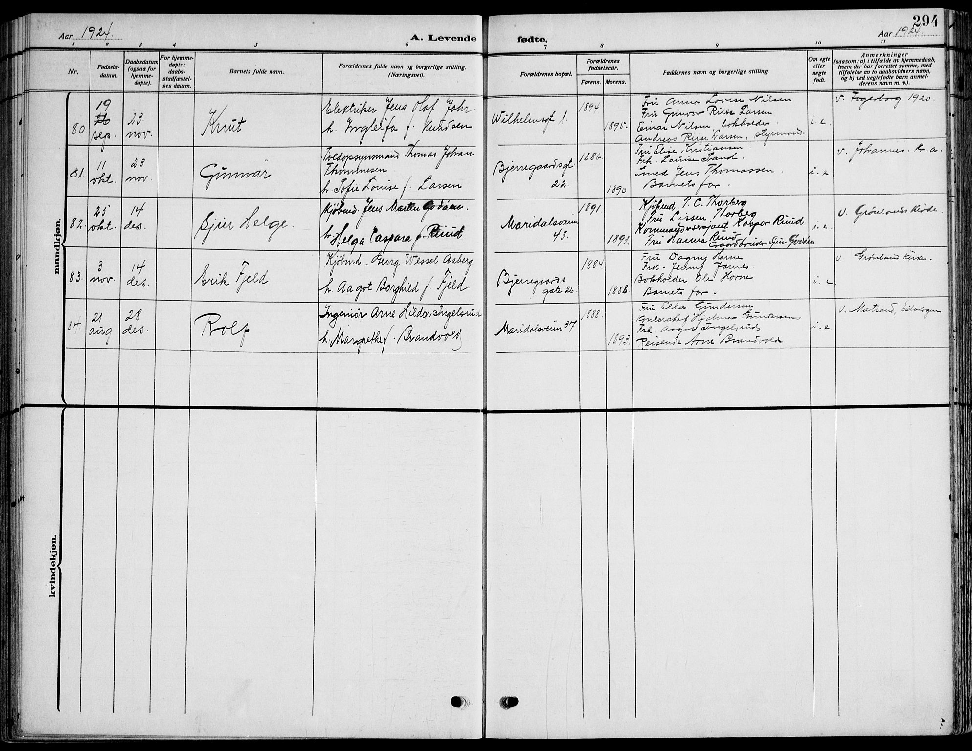 Gamle Aker prestekontor Kirkebøker, SAO/A-10617a/F/L0014: Parish register (official) no. 14, 1909-1924, p. 294