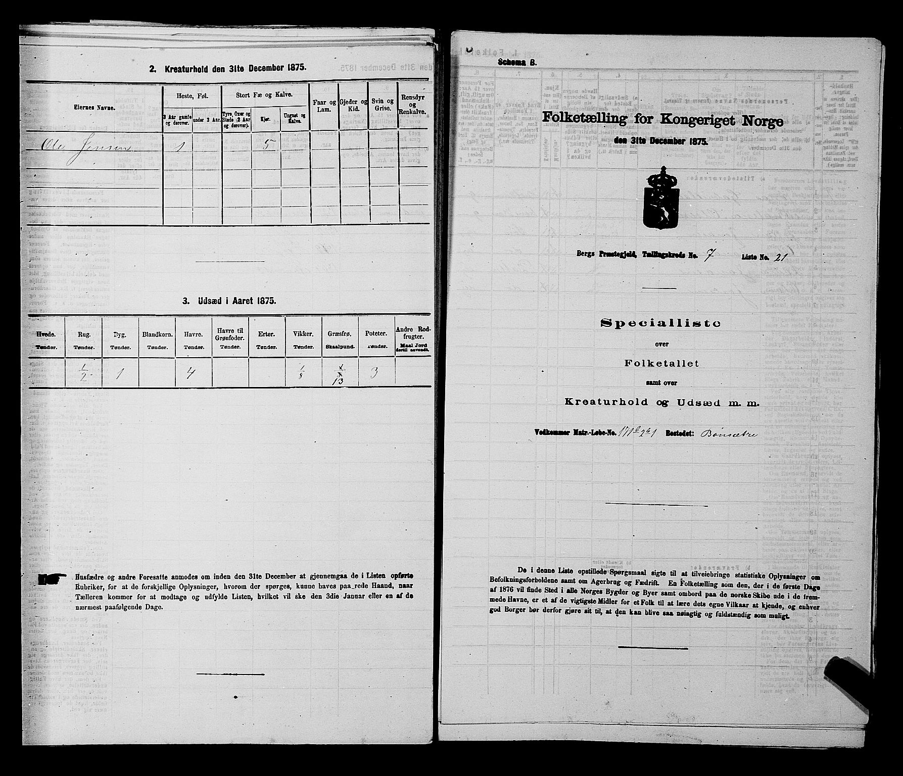 RA, 1875 census for 0116P Berg, 1875, p. 1161