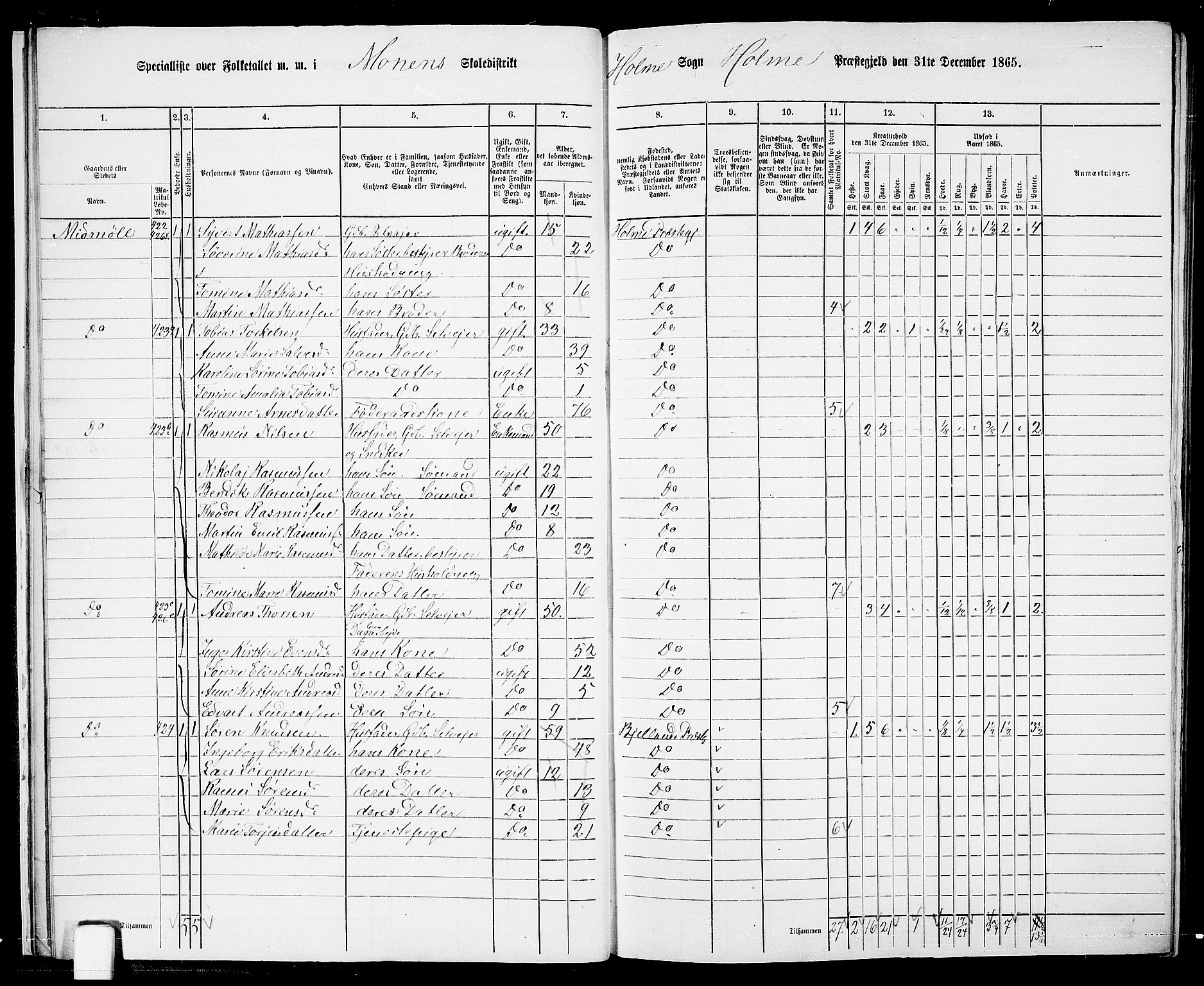 RA, 1865 census for Holum, 1865, p. 19