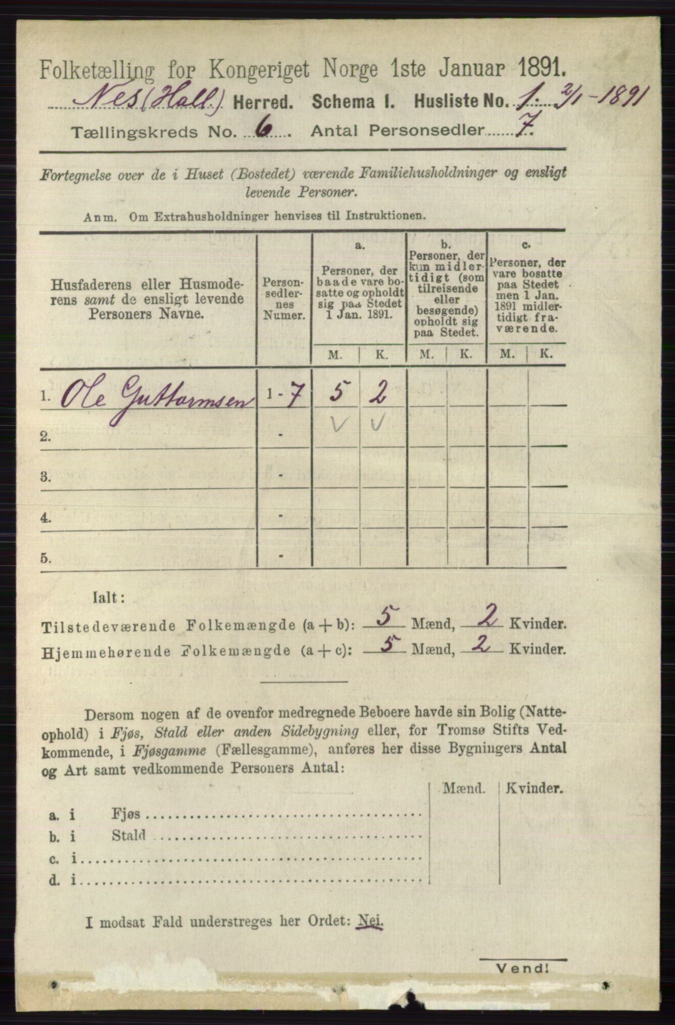 RA, 1891 census for 0616 Nes, 1891, p. 2946