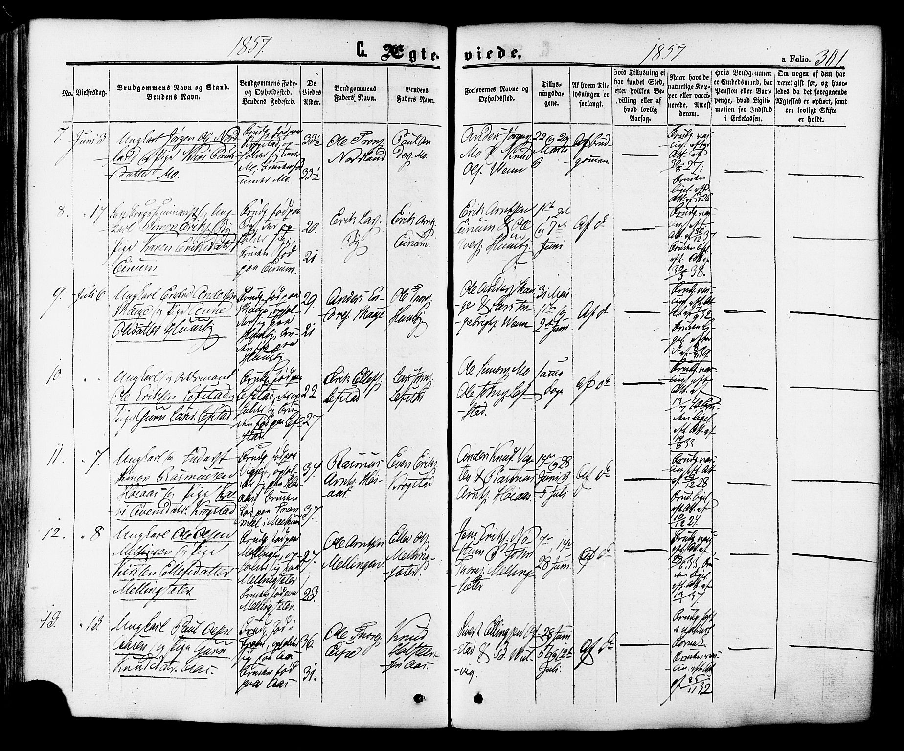 Ministerialprotokoller, klokkerbøker og fødselsregistre - Sør-Trøndelag, AV/SAT-A-1456/665/L0772: Parish register (official) no. 665A07, 1856-1878, p. 301