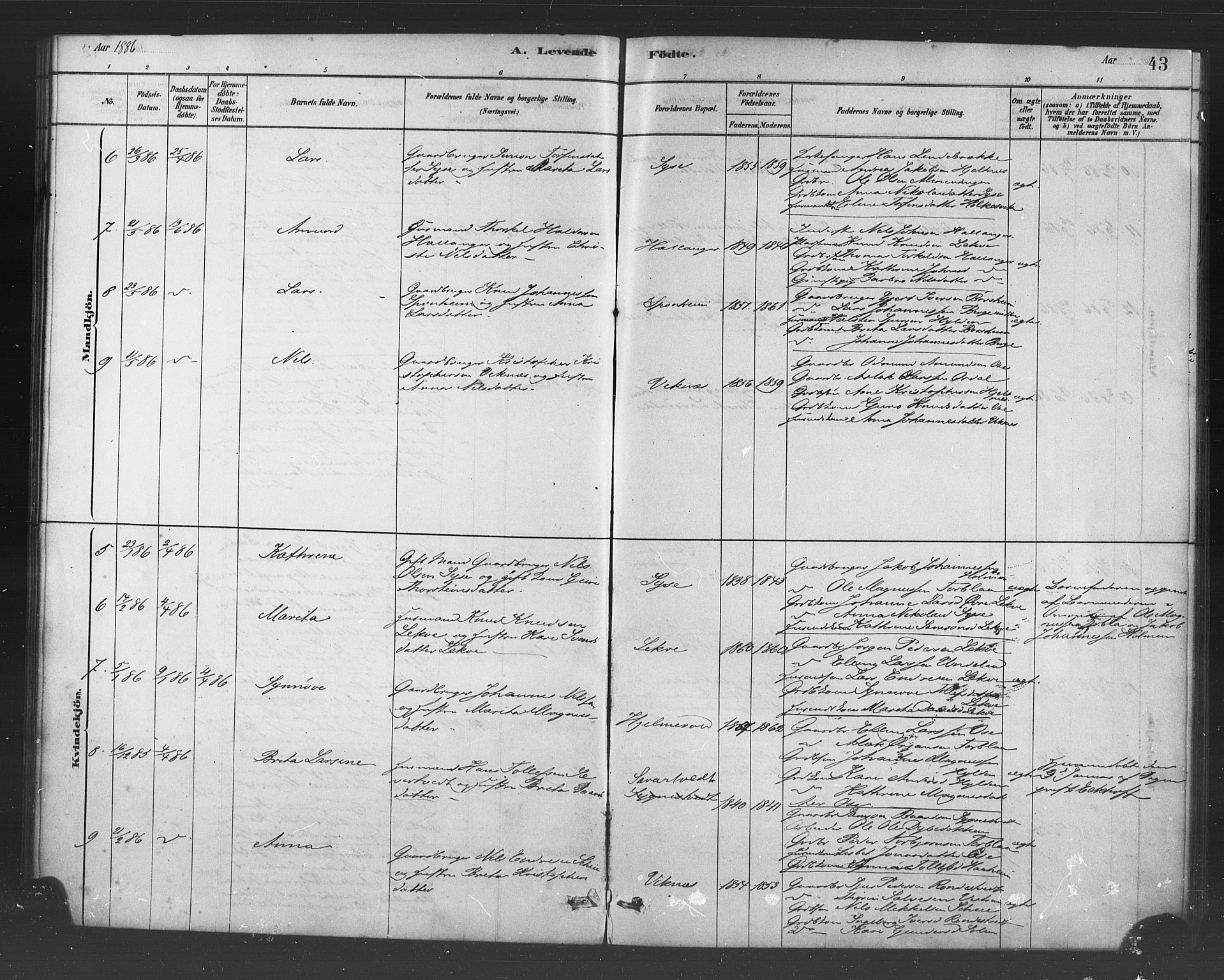 Ulvik sokneprestembete, AV/SAB-A-78801/H/Haa: Parish register (official) no. B 1, 1878-1897, p. 43