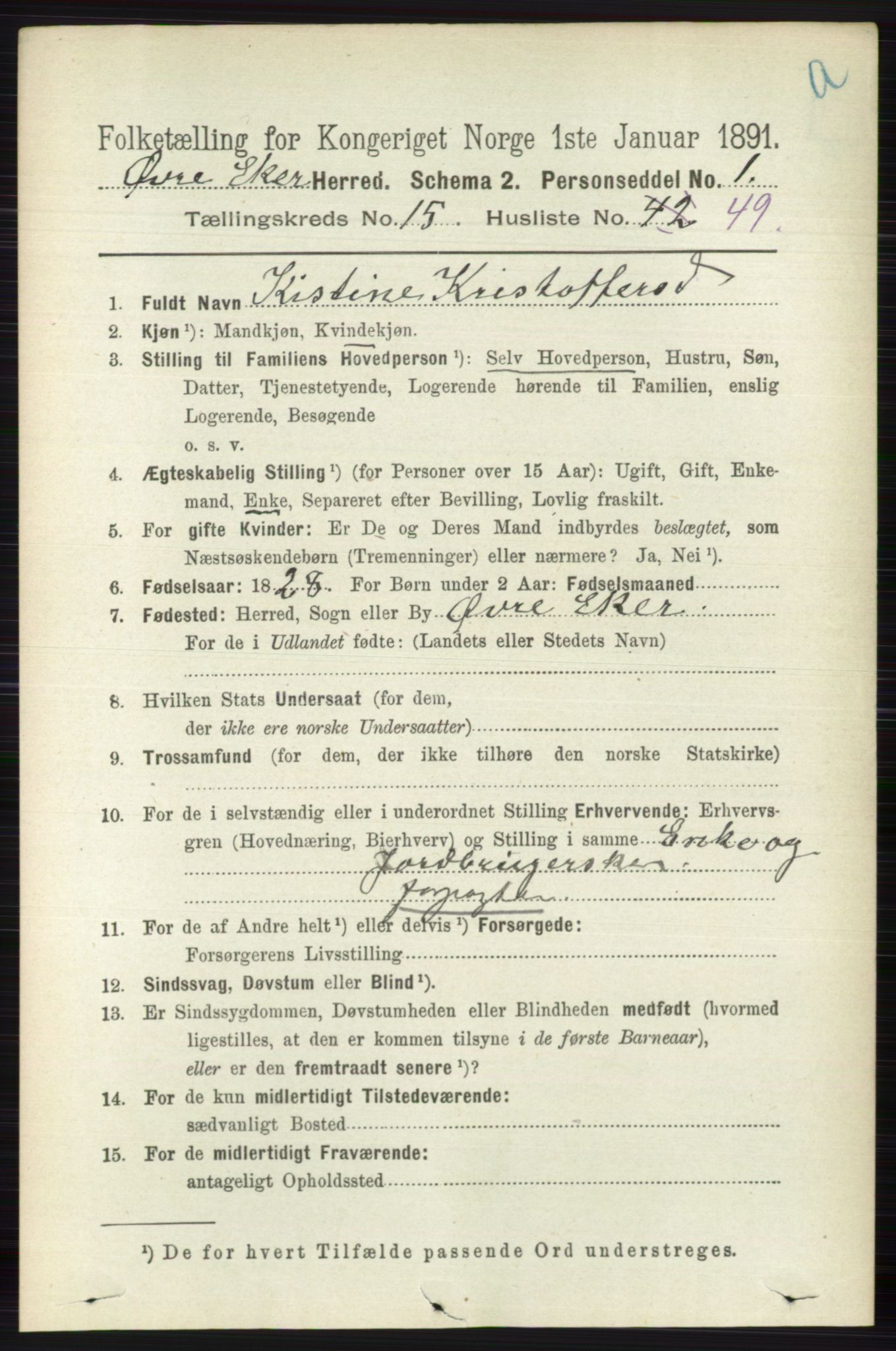 RA, 1891 census for 0624 Øvre Eiker, 1891, p. 7317