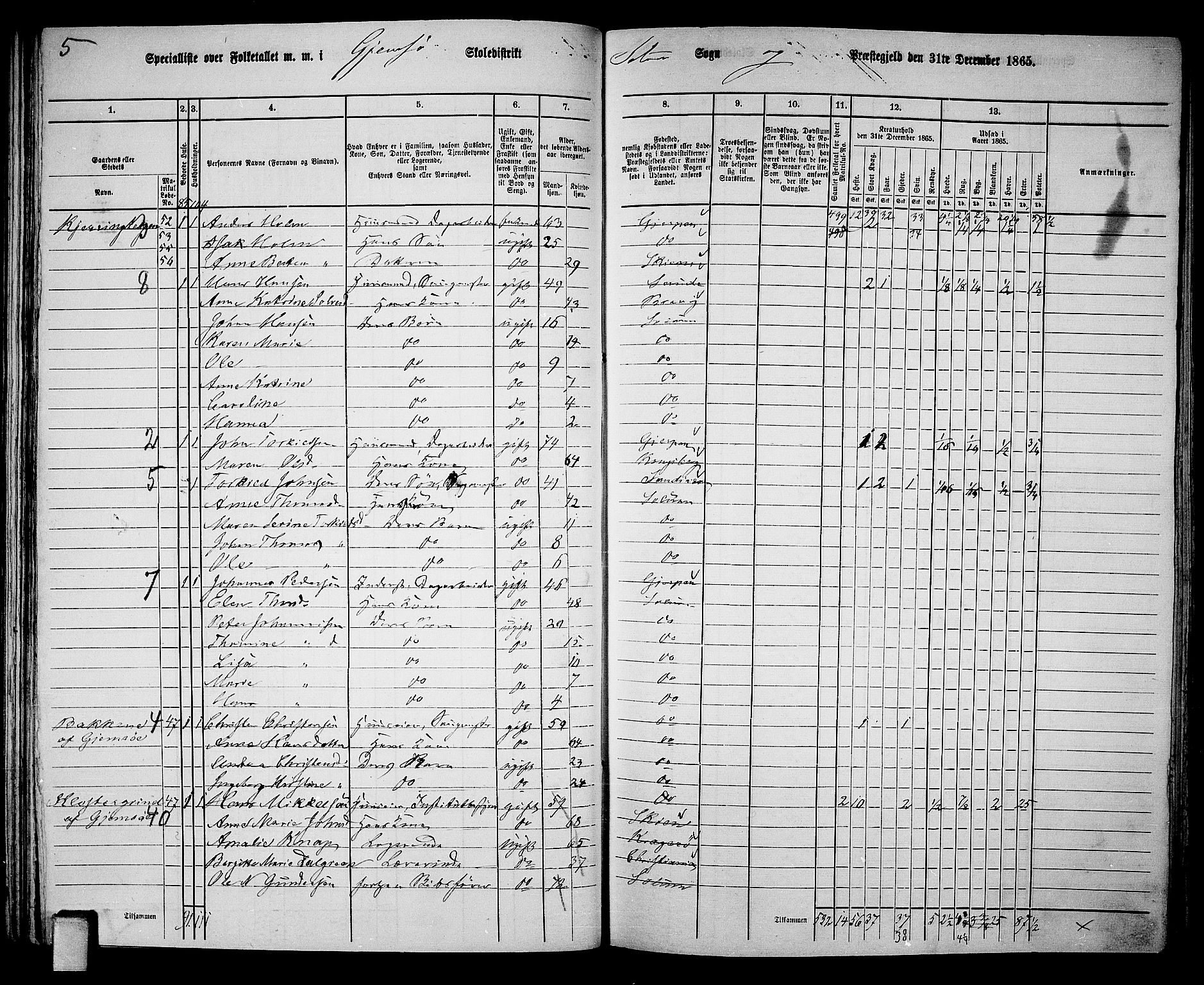 RA, 1865 census for Solum, 1865, p. 65