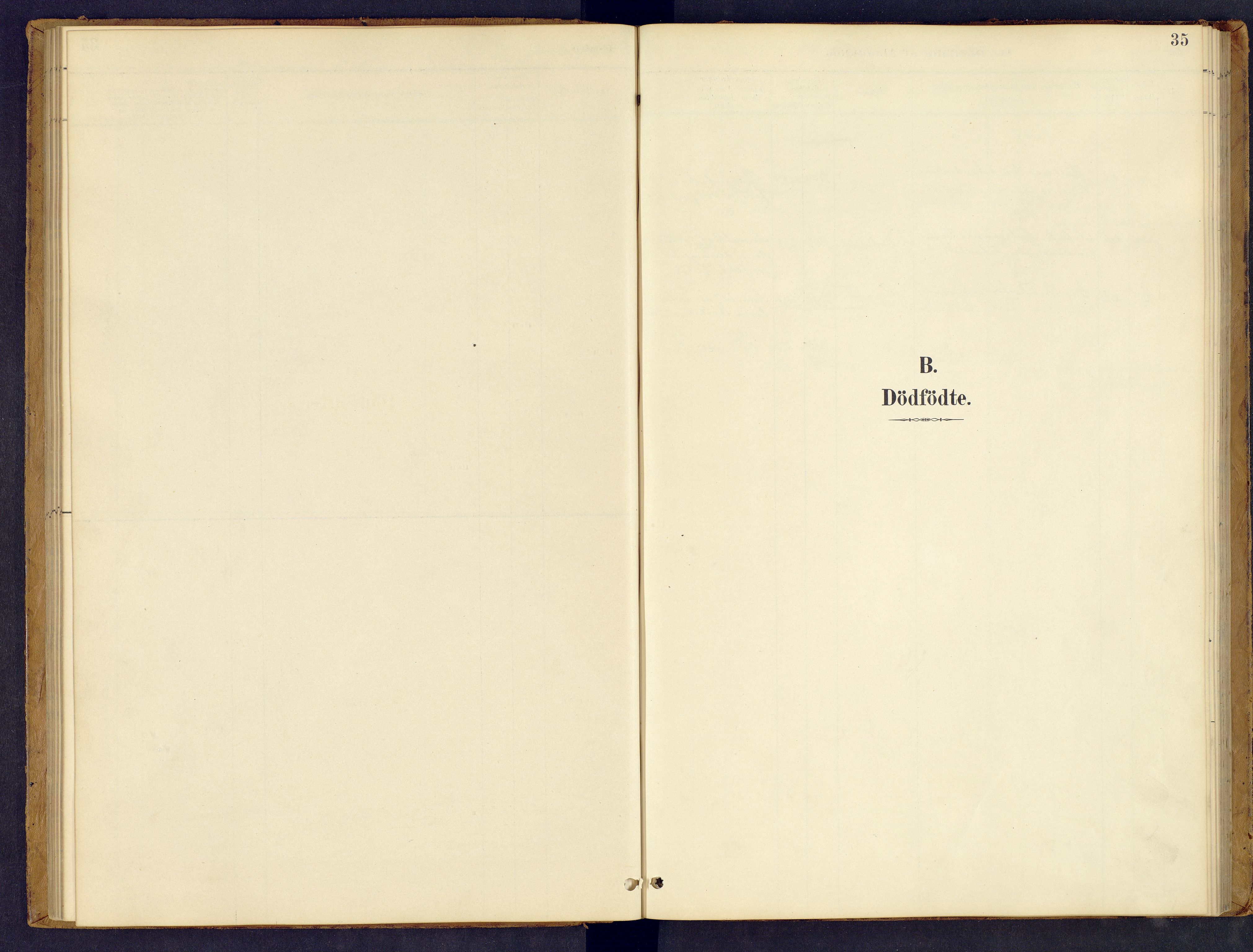 Tynset prestekontor, SAH/PREST-058/H/Ha/Hab/L0008: Parish register (copy) no. 8, 1884-1916, p. 35