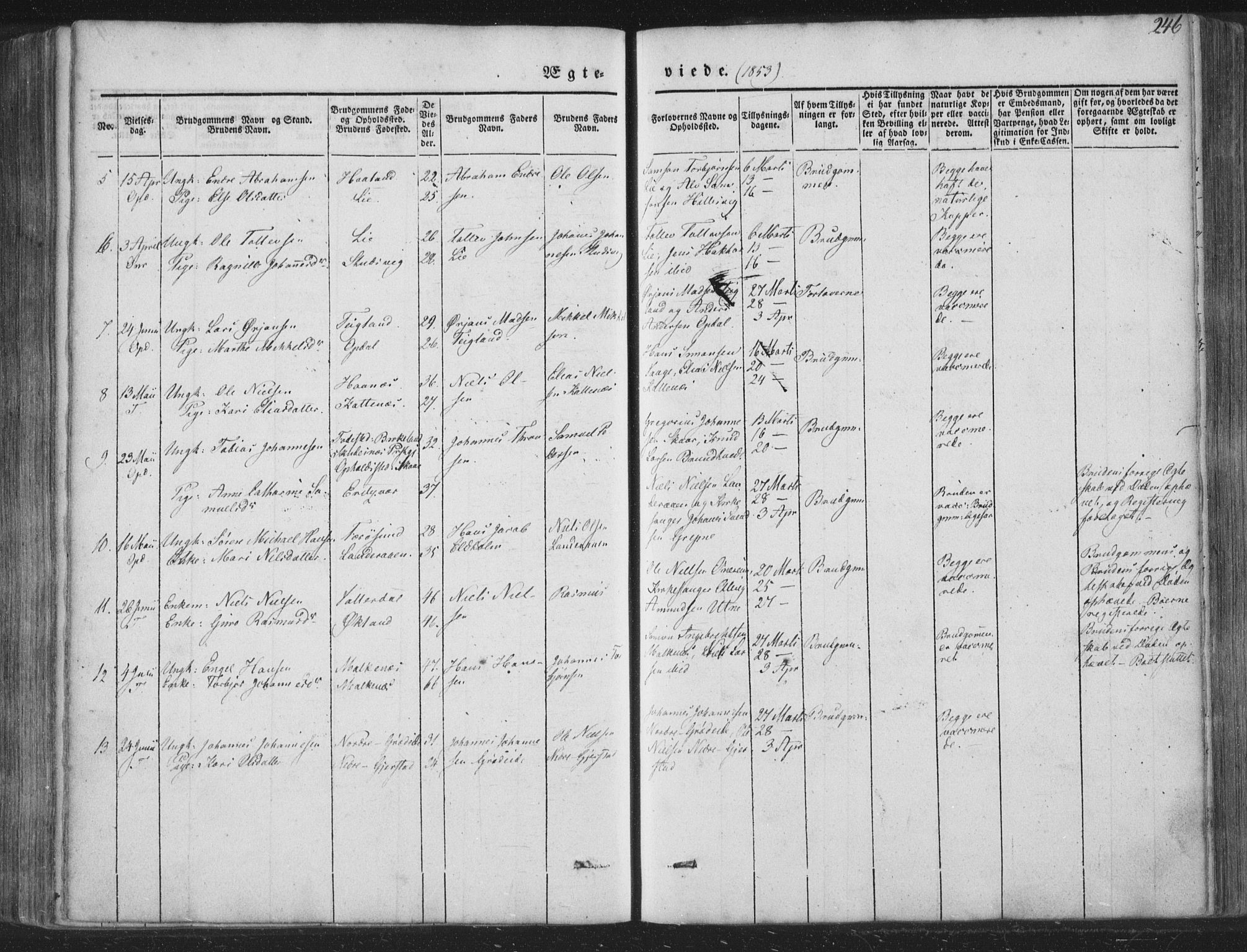 Tysnes sokneprestembete, AV/SAB-A-78601/H/Haa: Parish register (official) no. A 10, 1848-1859, p. 246