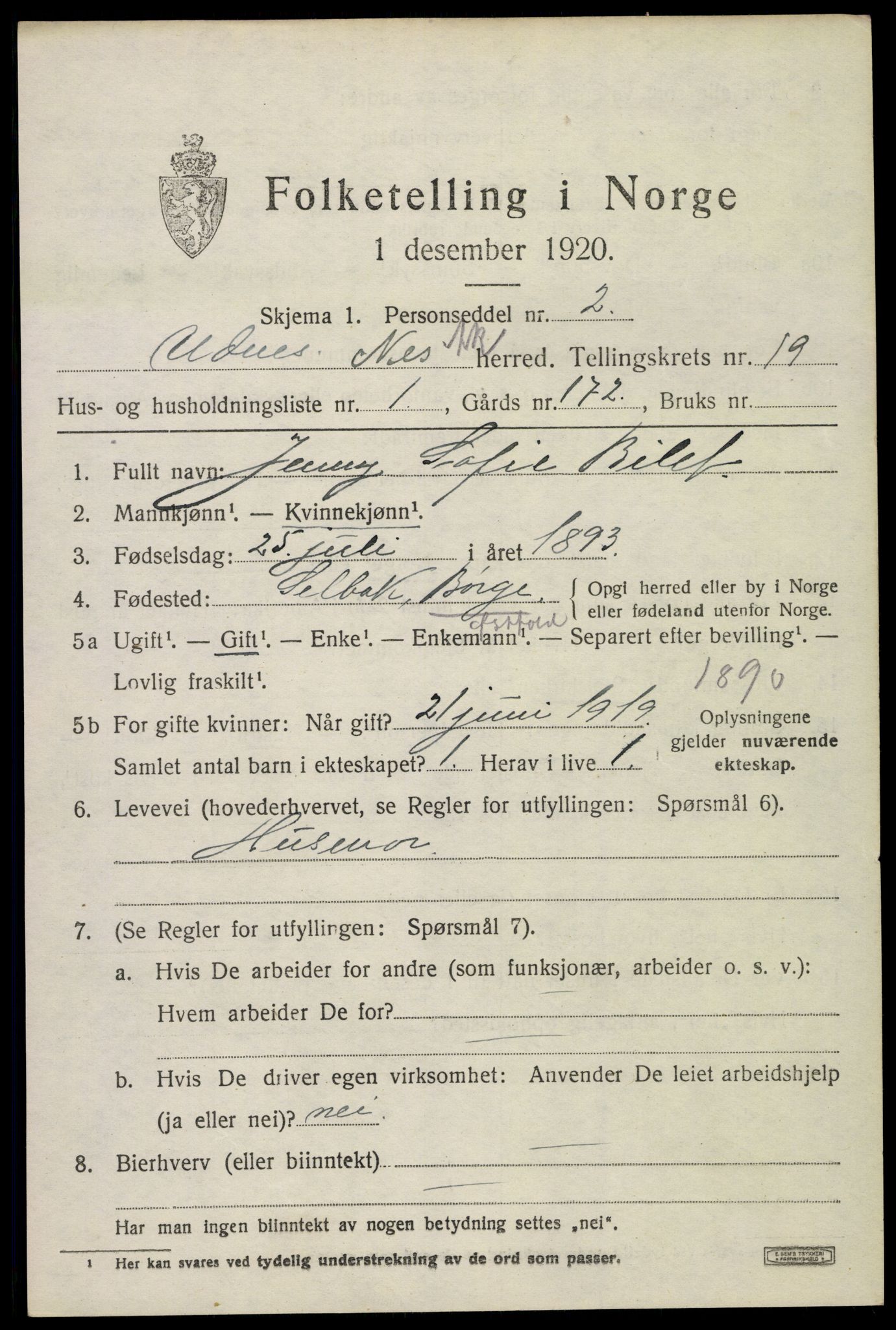 SAO, 1920 census for Nes, 1920, p. 19110