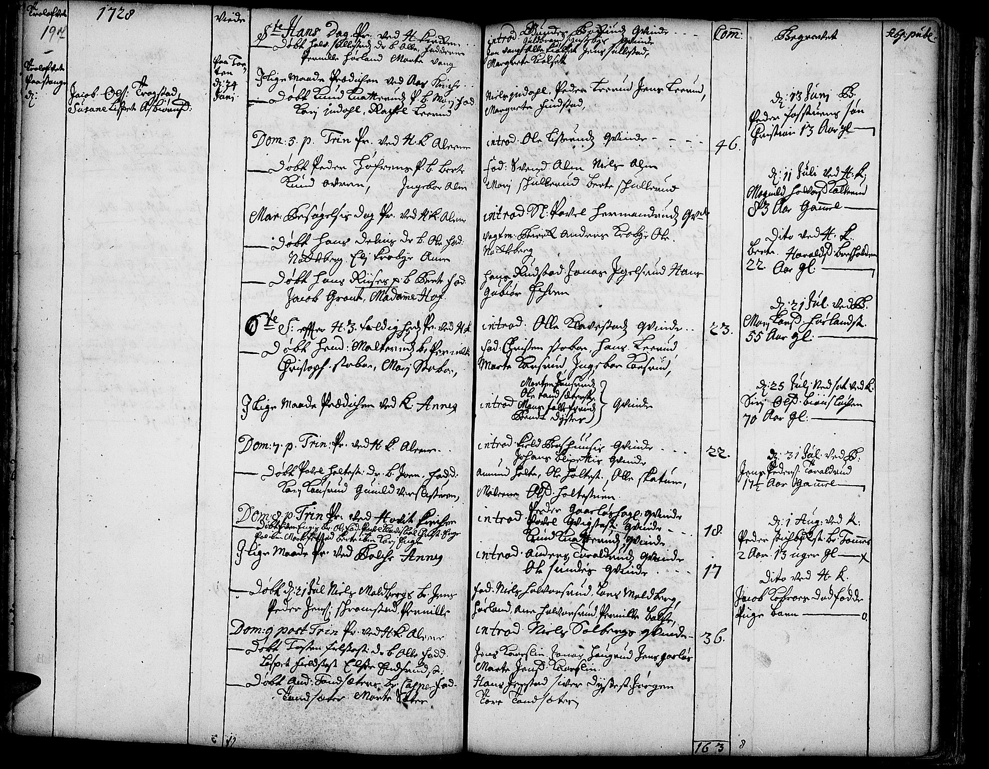 Toten prestekontor, SAH/PREST-102/H/Ha/Haa/L0002: Parish register (official) no. 2, 1714-1732, p. 197