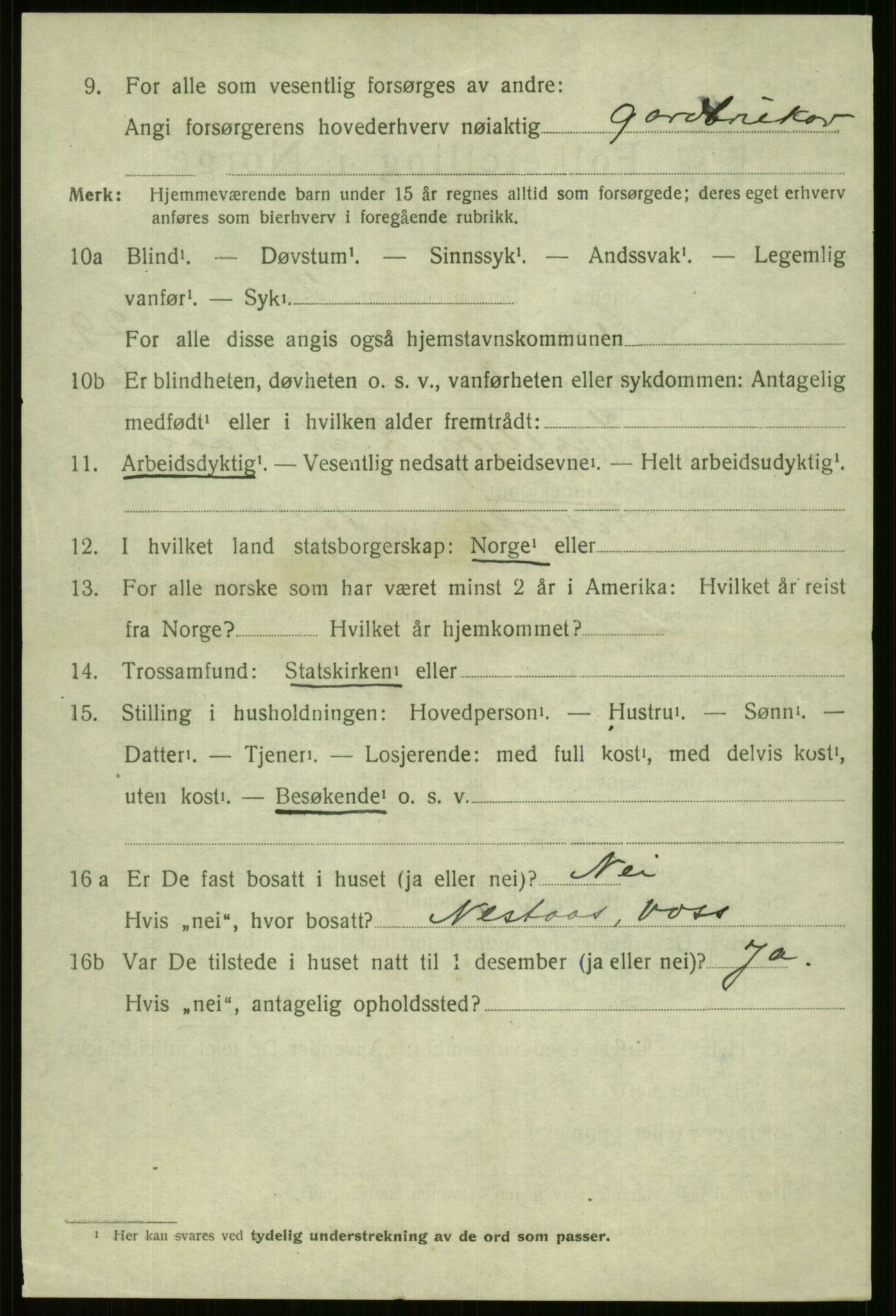 SAB, 1920 census for Voss, 1920, p. 19560