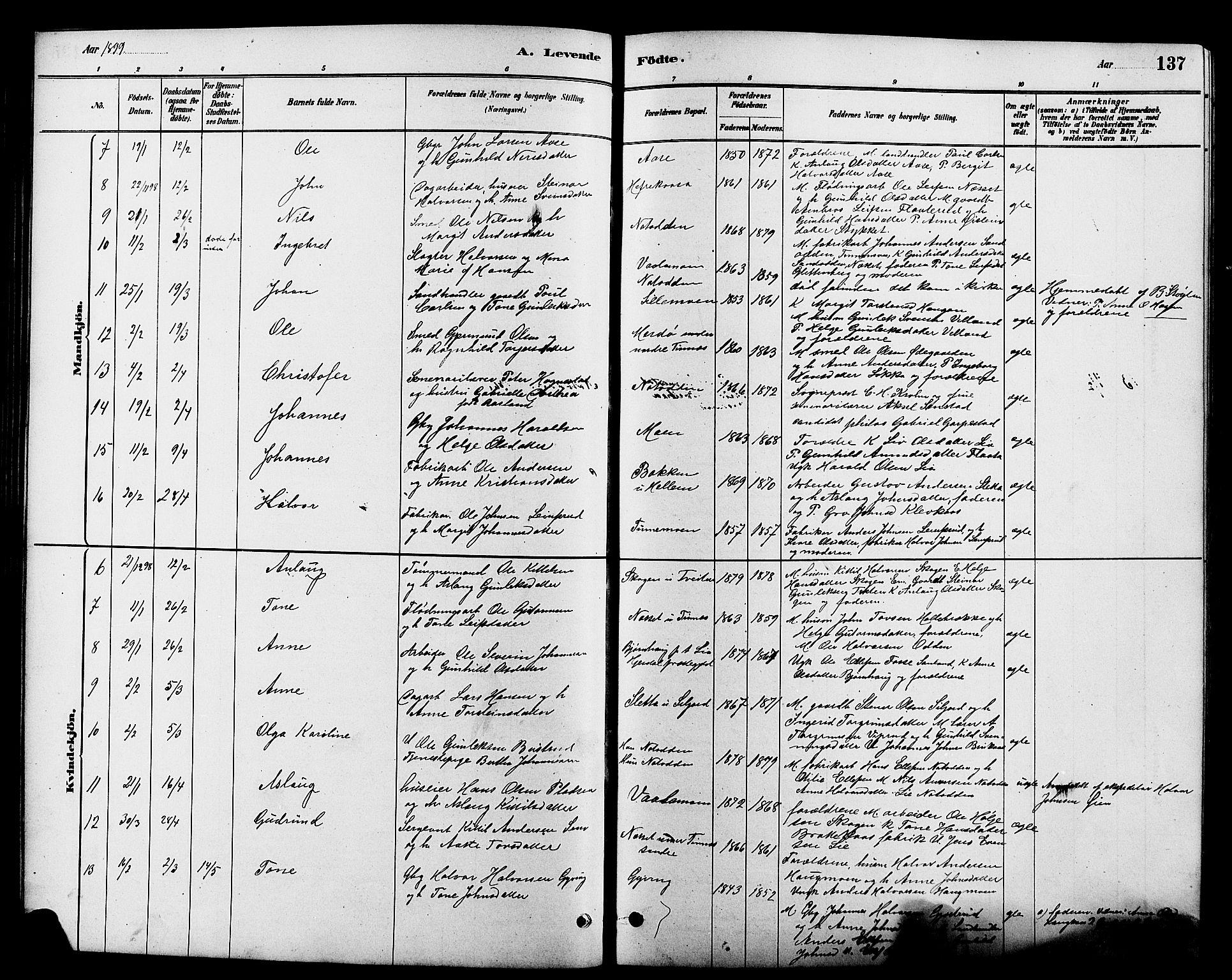 Heddal kirkebøker, SAKO/A-268/G/Ga/L0002: Parish register (copy) no. I 2, 1879-1908, p. 137