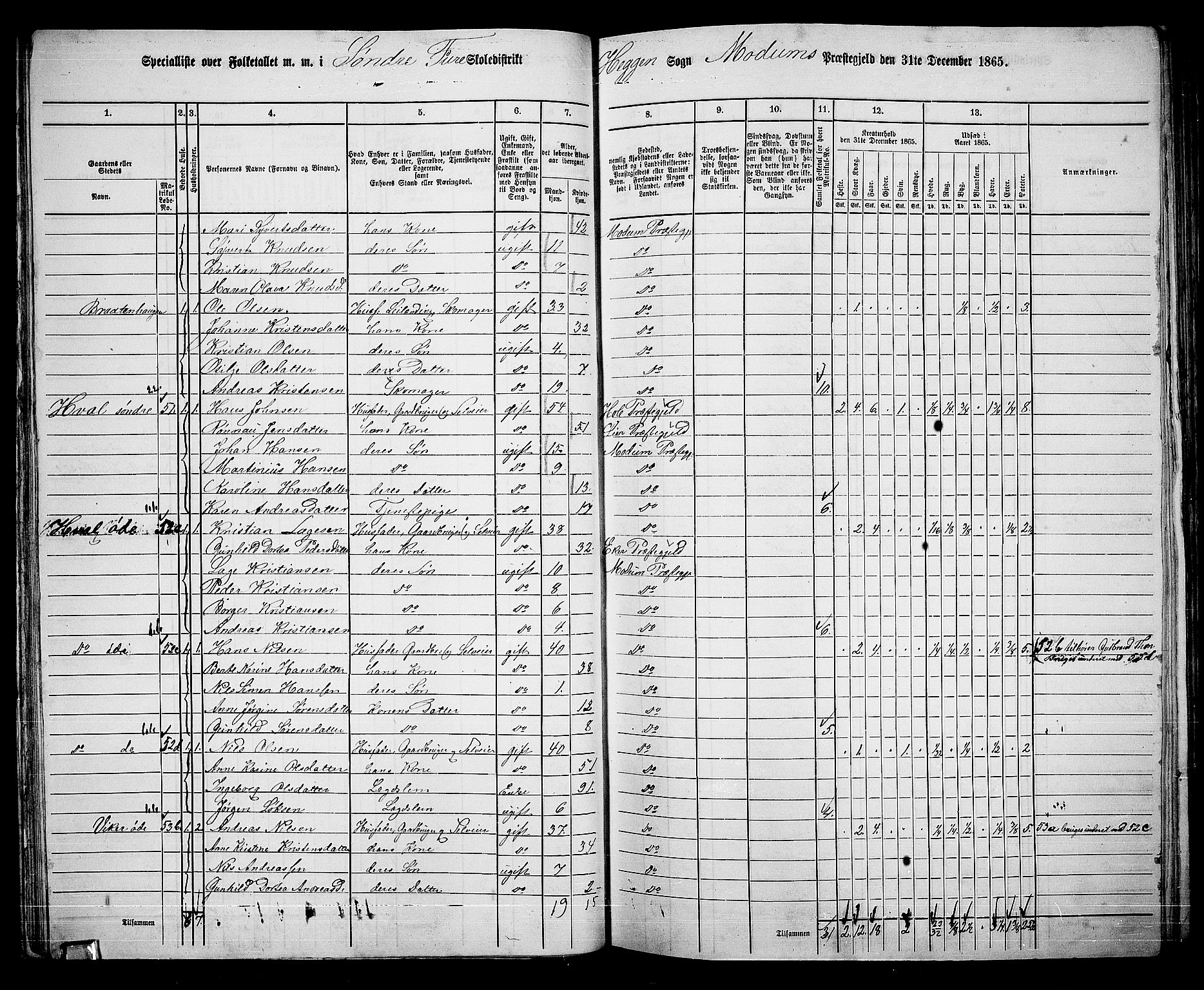 RA, 1865 census for Modum, 1865, p. 48