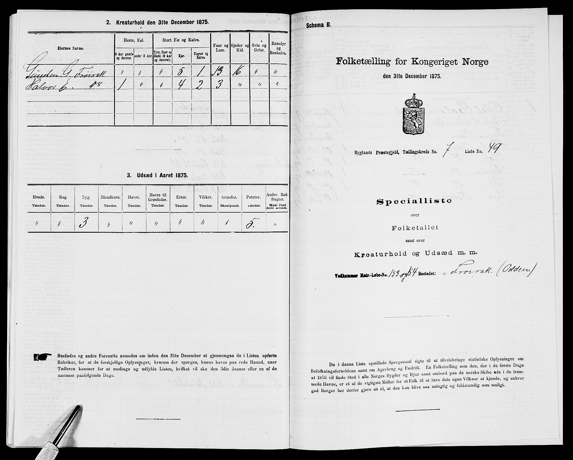 SAK, 1875 census for 0938P Bygland, 1875, p. 686