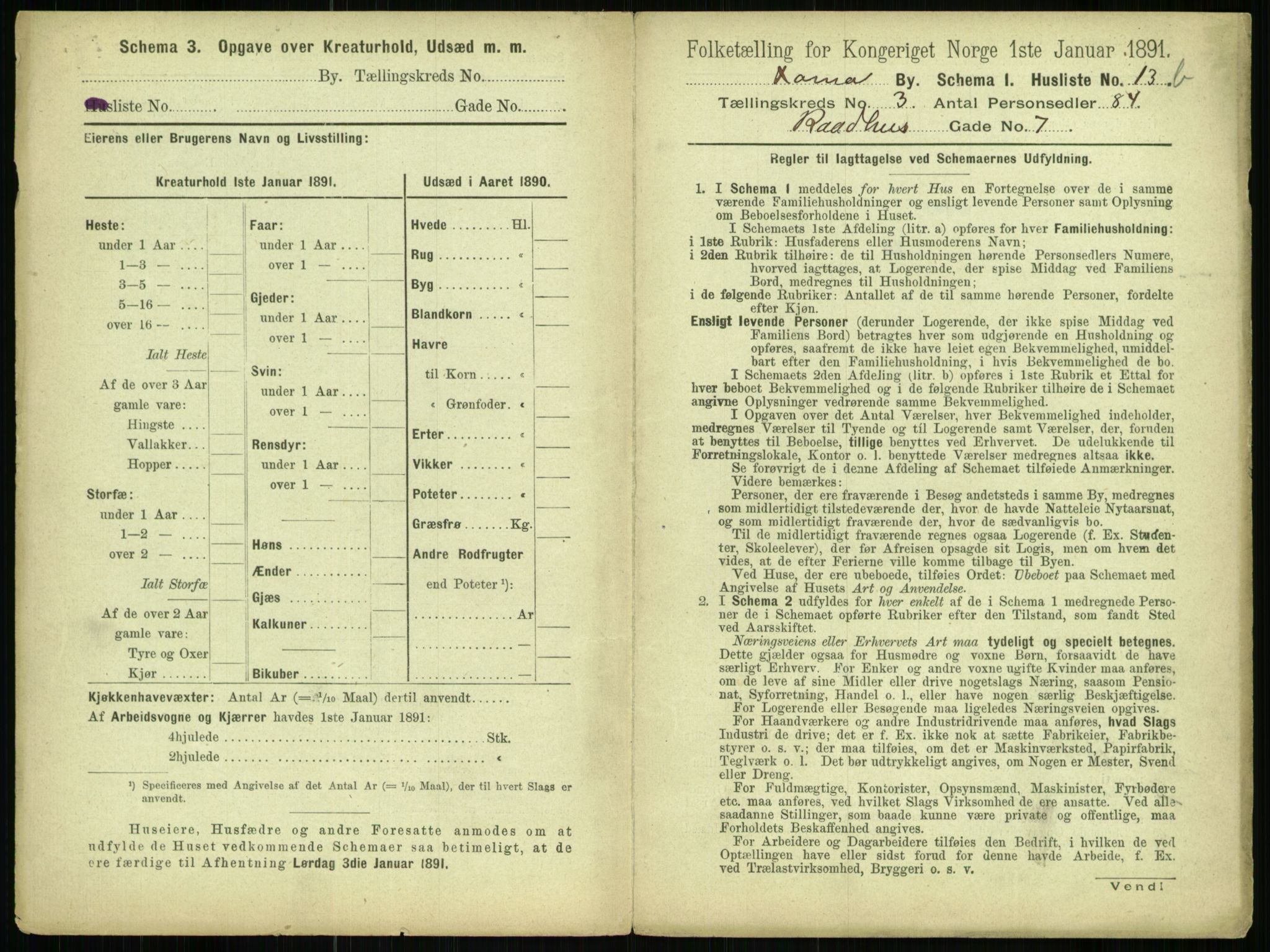 RA, 1891 census for 0301 Kristiania, 1891, p. 1203