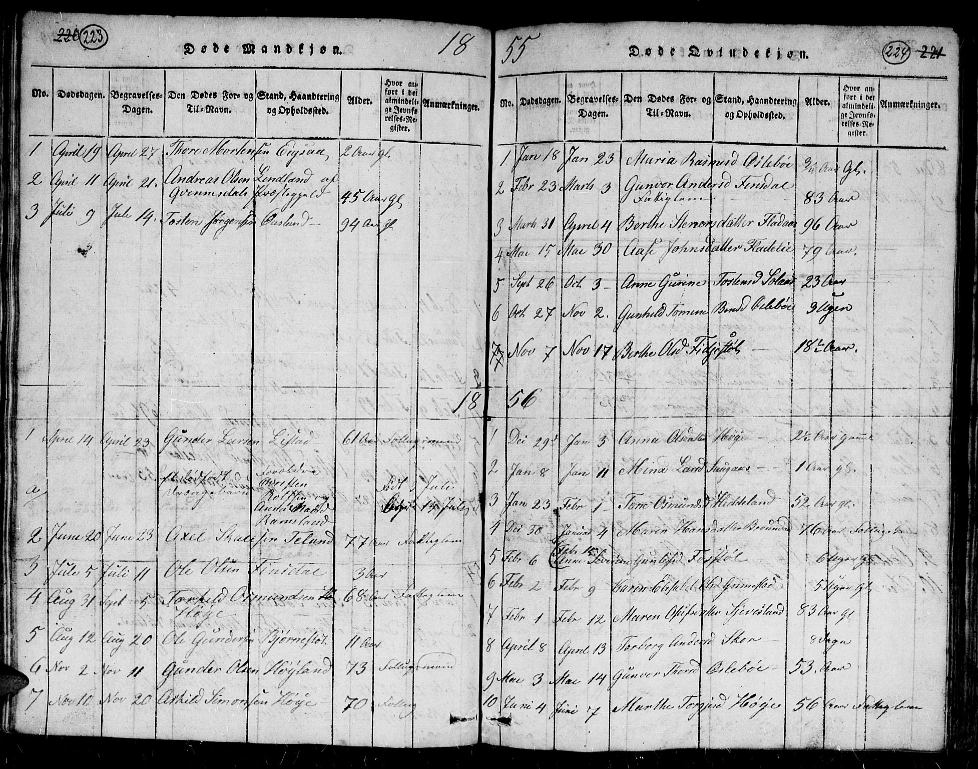 Holum sokneprestkontor, AV/SAK-1111-0022/F/Fb/Fbc/L0001: Parish register (copy) no. B 1, 1820-1859, p. 223-224