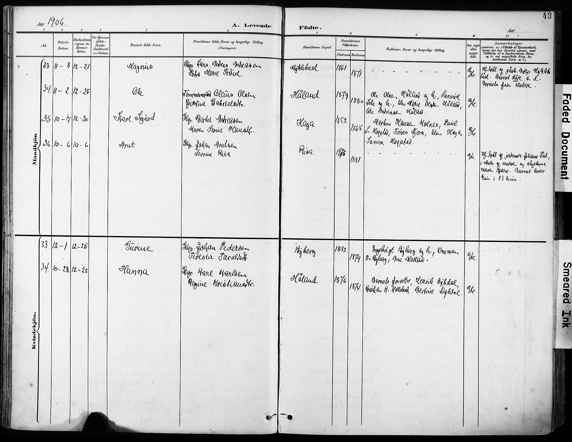 Håland sokneprestkontor, AV/SAST-A-101802/001/30BA/L0013: Parish register (official) no. A 12, 1901-1913, p. 43