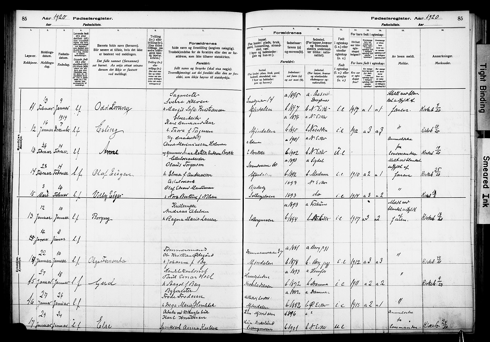 Nedre Eiker kirkebøker, AV/SAKO-A-612/J/Ja/L0001: Birth register no. 1, 1916-1925, p. 85