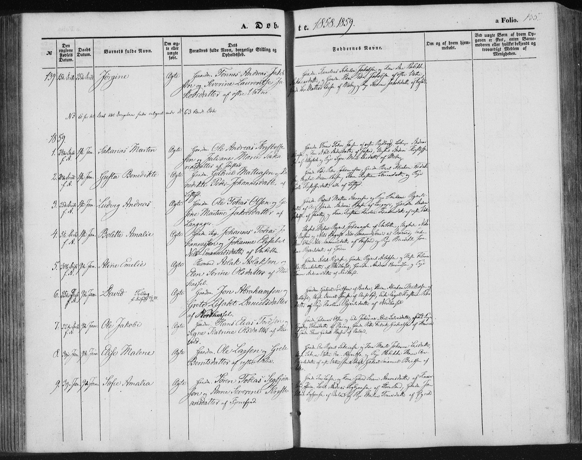 Lista sokneprestkontor, SAK/1111-0027/F/Fa/L0010: Parish register (official) no. A 10, 1846-1861, p. 135