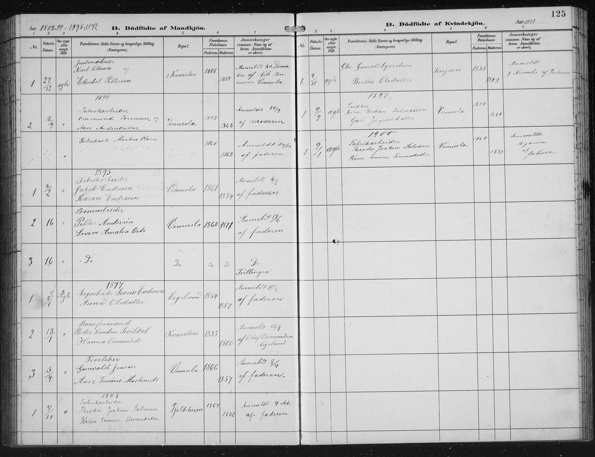 Vennesla sokneprestkontor, SAK/1111-0045/Fb/Fbb/L0004: Parish register (copy) no. B 4, 1893-1902, p. 125