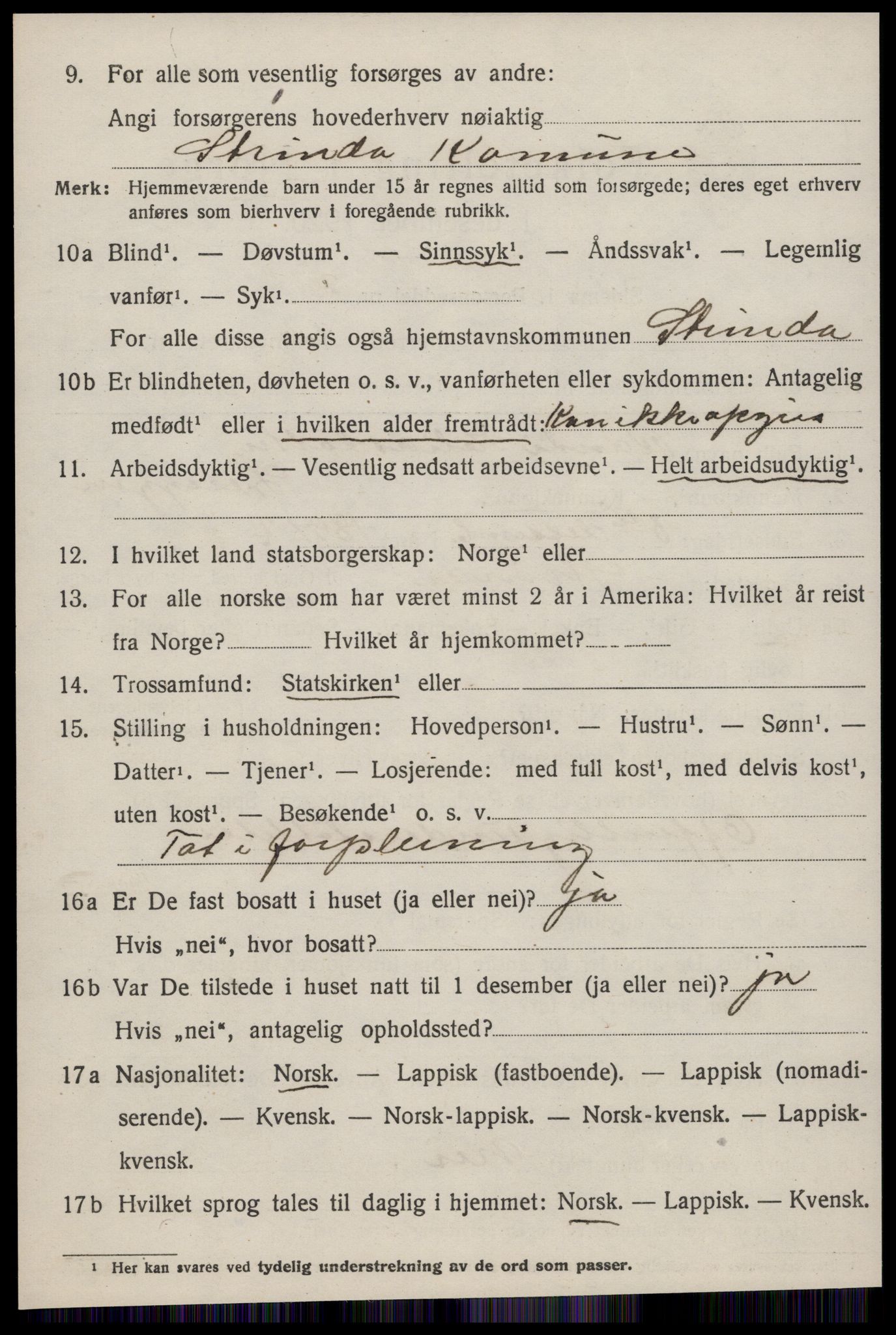 SAT, 1920 census for Selbu, 1920, p. 2761