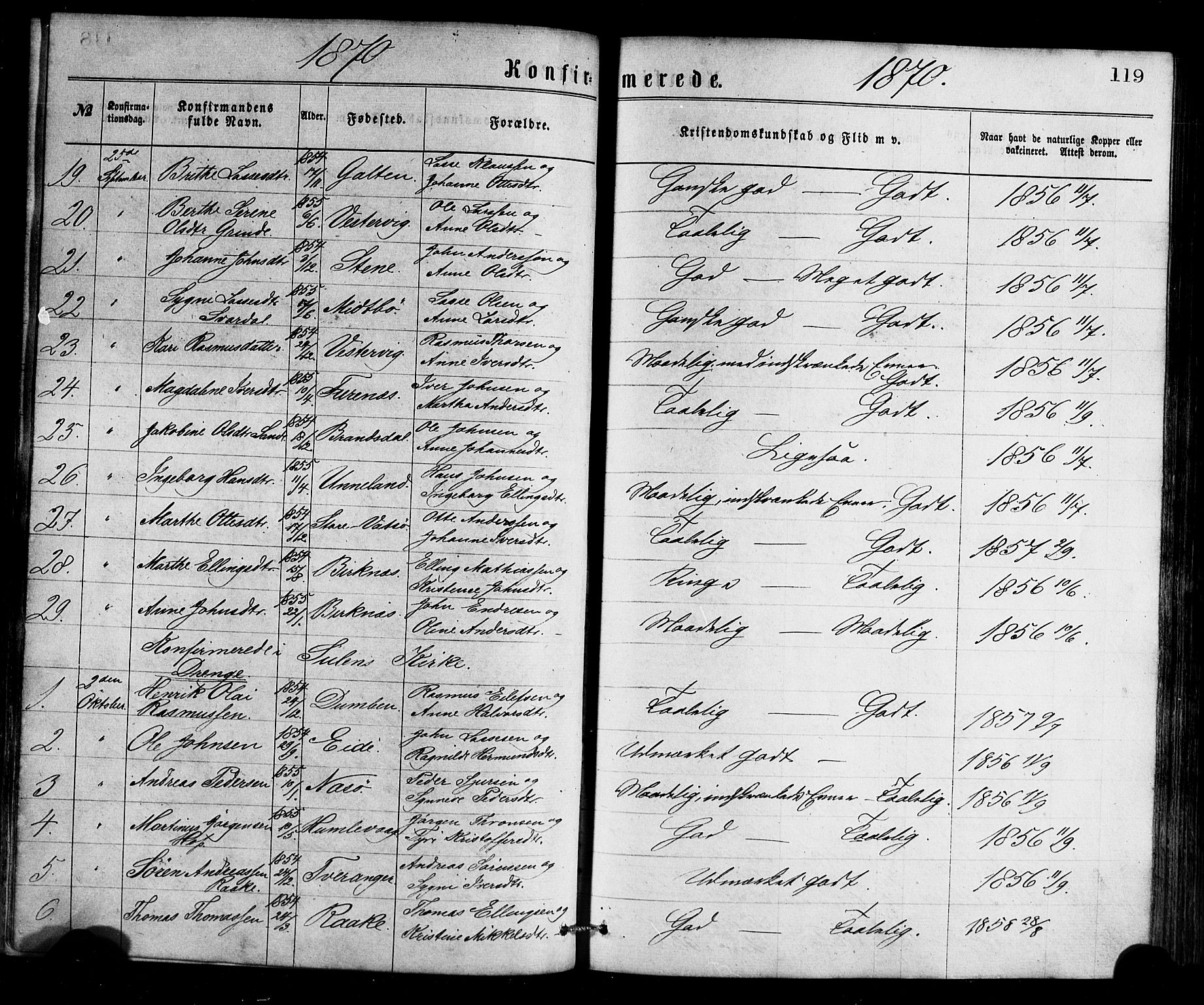 Gulen sokneprestembete, AV/SAB-A-80201/H/Haa/Haaa/L0023: Parish register (official) no. A 23, 1870-1880, p. 119