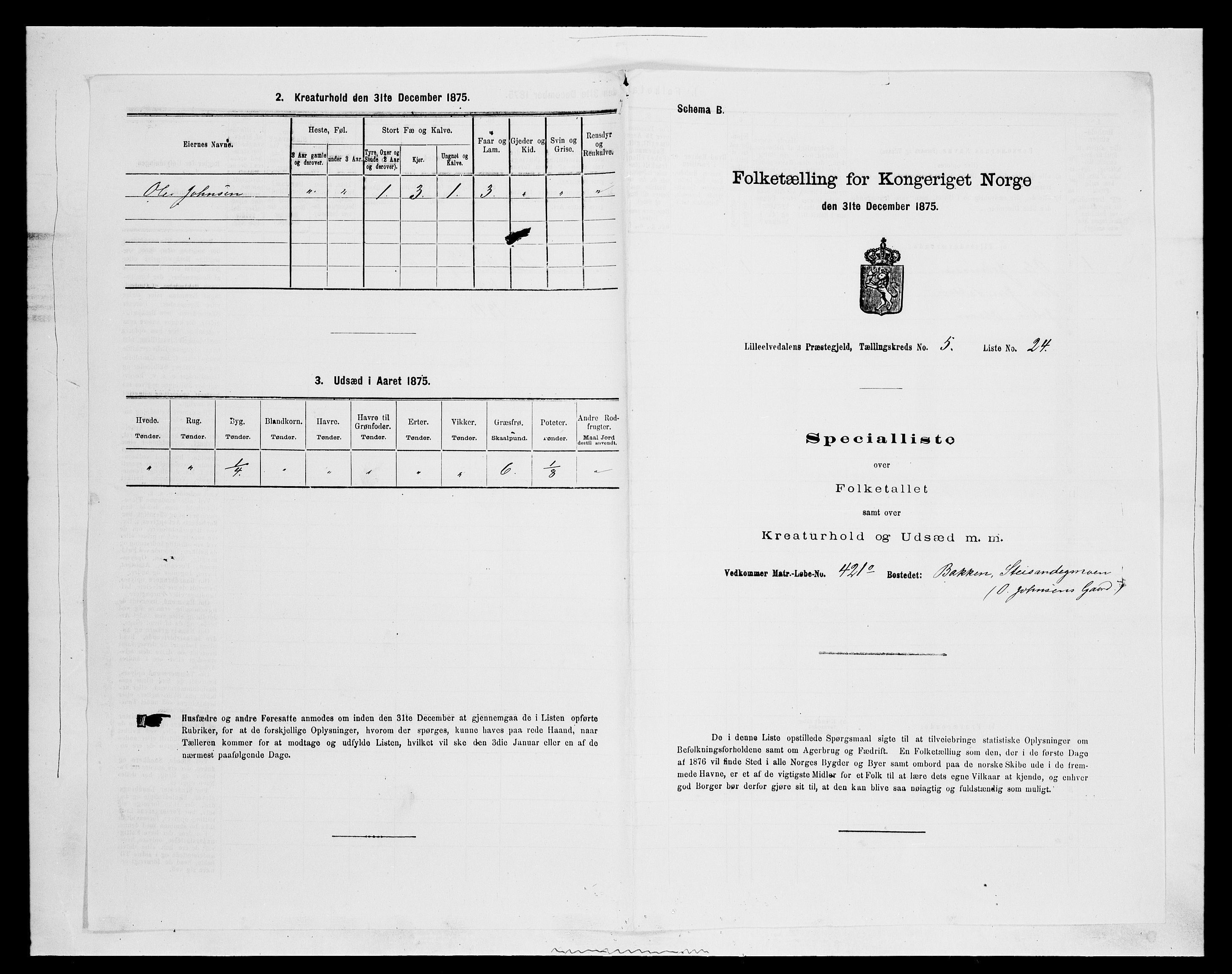 SAH, 1875 census for 0438P Lille Elvedalen, 1875, p. 490