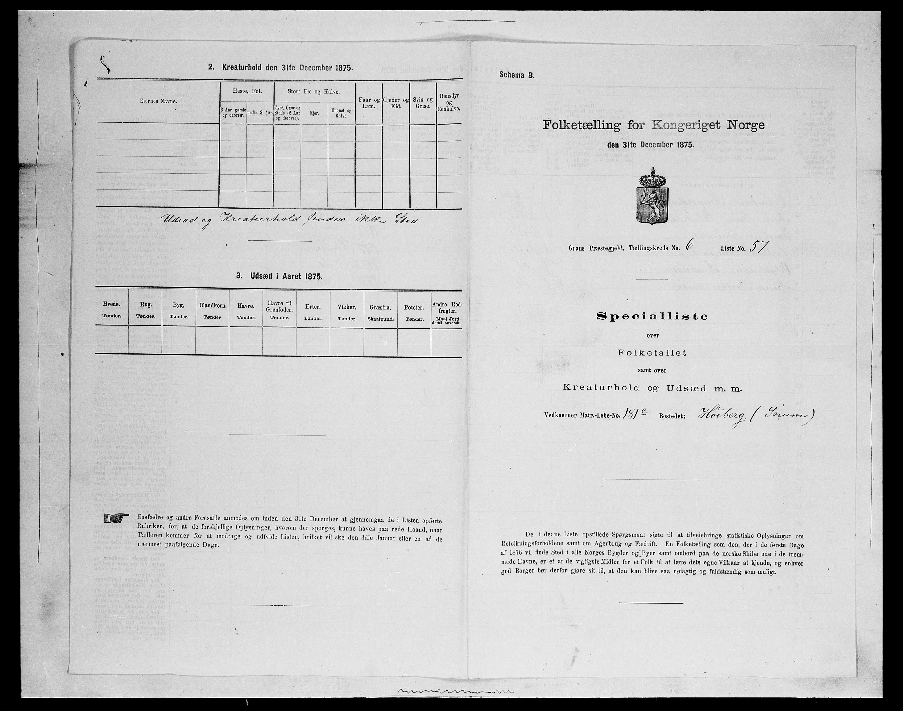 SAH, 1875 census for 0534P Gran, 1875, p. 1133
