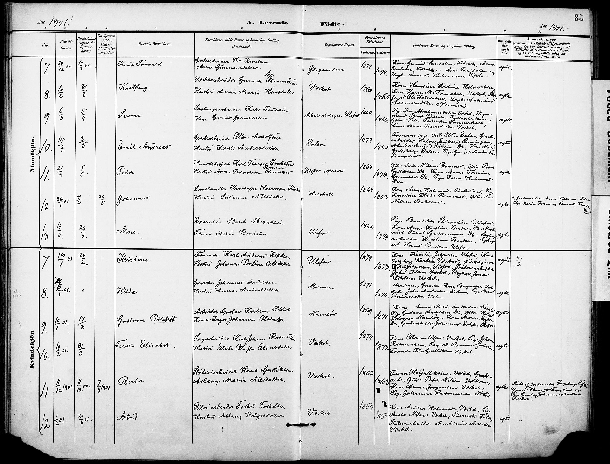 Holla kirkebøker, AV/SAKO-A-272/F/Fa/L0010: Parish register (official) no. 10, 1897-1907, p. 35