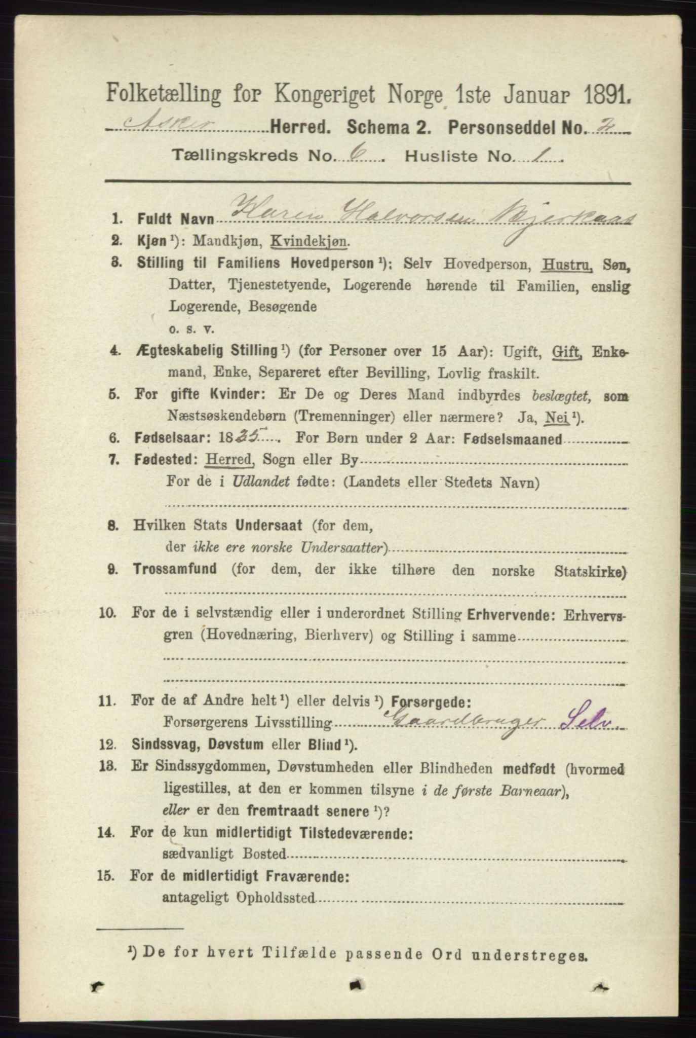 RA, 1891 census for 0220 Asker, 1891, p. 4161