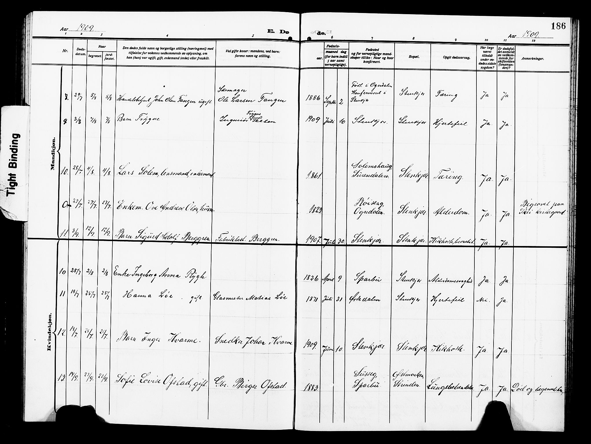 Ministerialprotokoller, klokkerbøker og fødselsregistre - Nord-Trøndelag, AV/SAT-A-1458/739/L0376: Parish register (copy) no. 739C04, 1908-1917, p. 186