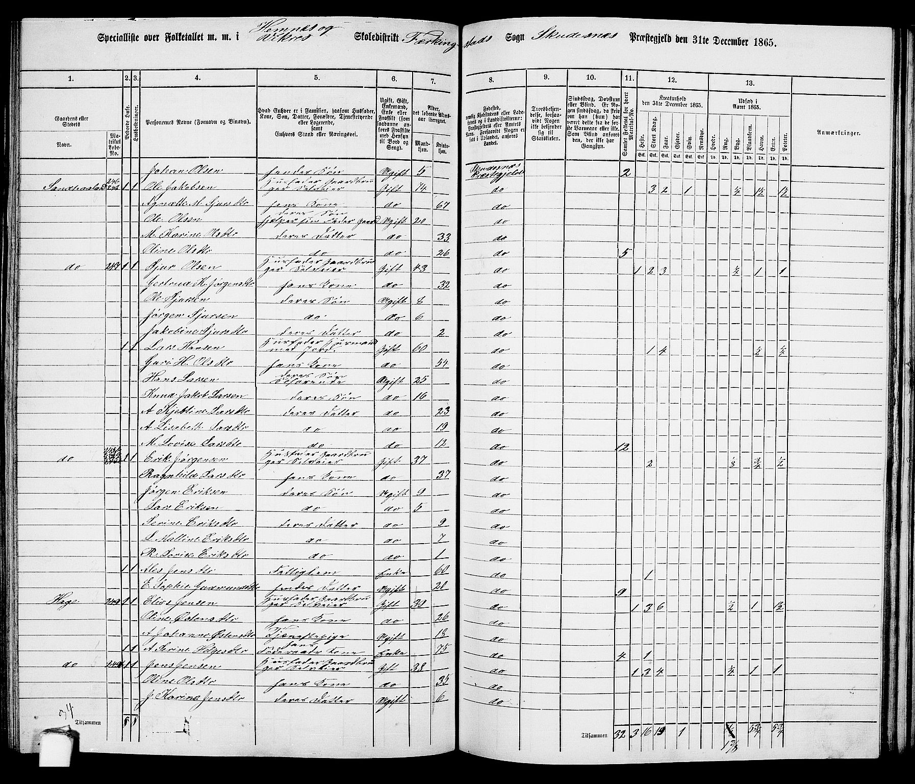 RA, 1865 census for Skudenes, 1865, p. 126