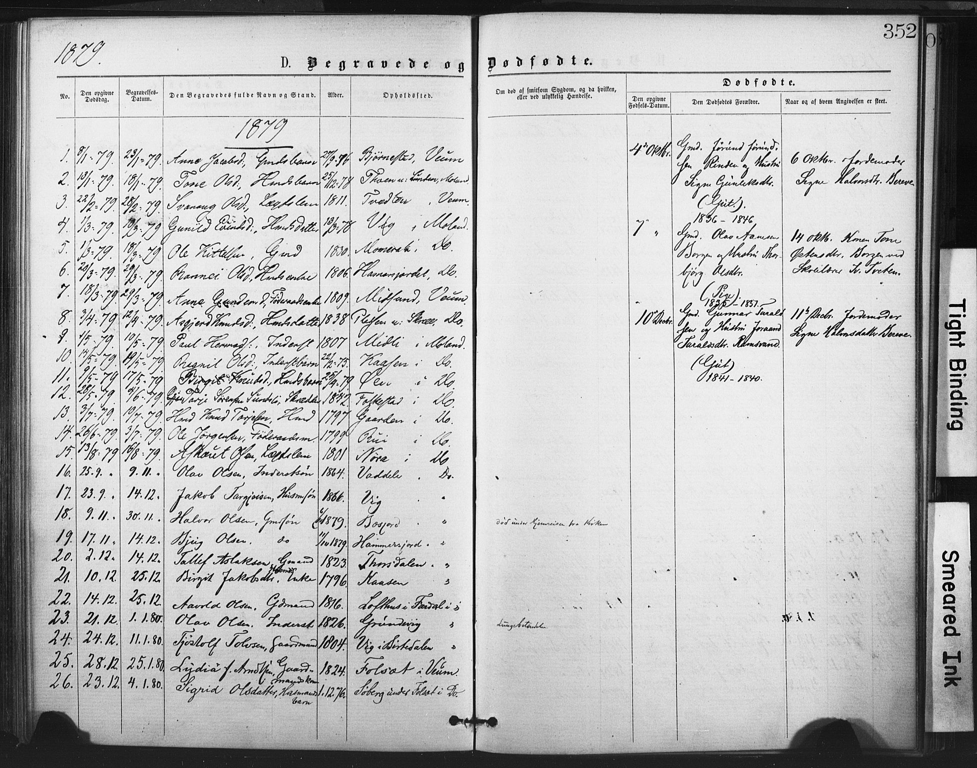 Fyresdal kirkebøker, SAKO/A-263/F/Fa/L0006: Parish register (official) no. I 6, 1872-1886, p. 352