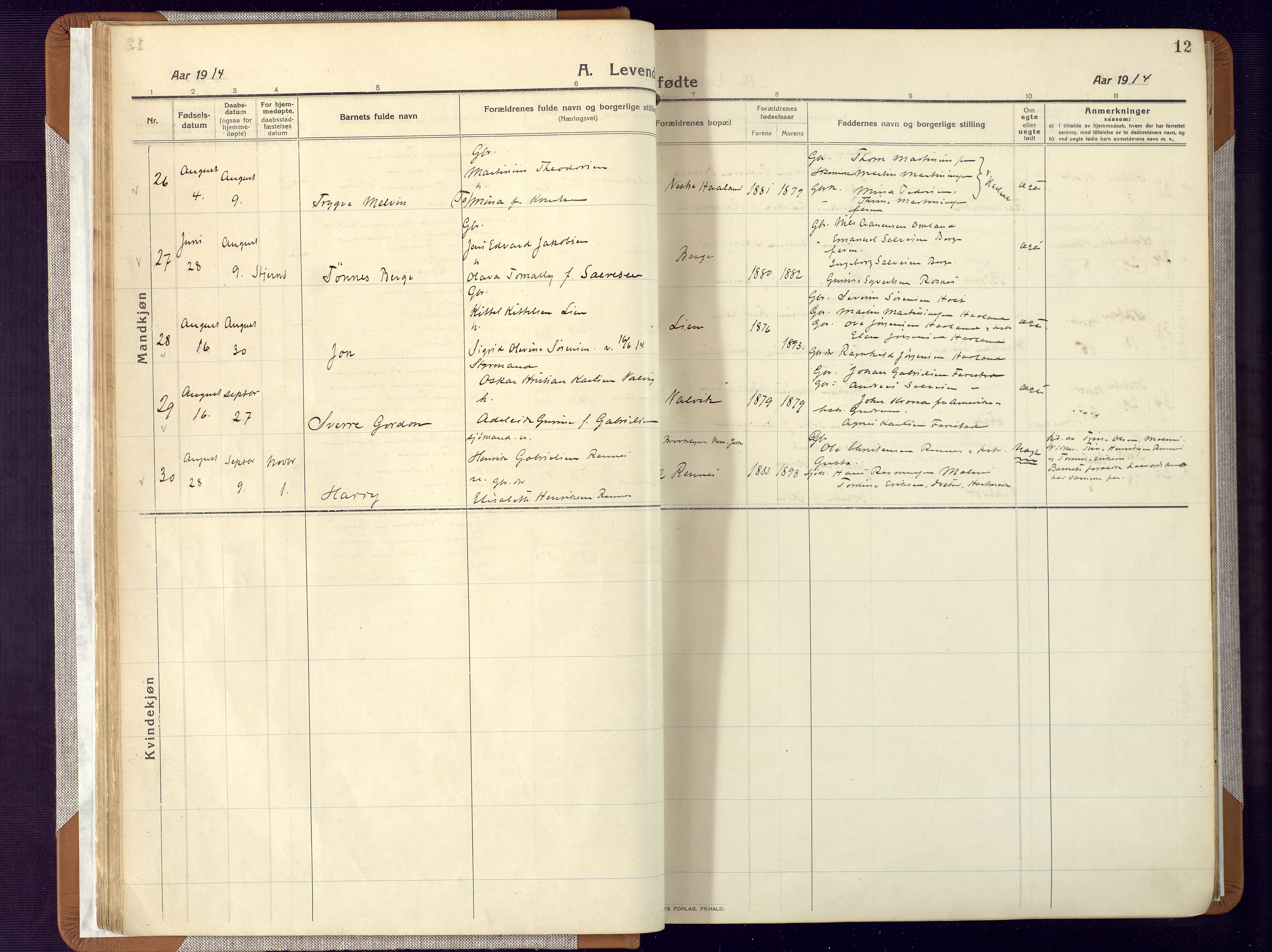 Mandal sokneprestkontor, AV/SAK-1111-0030/F/Fa/Faa/L0022: Parish register (official) no. A 22, 1913-1925, p. 12