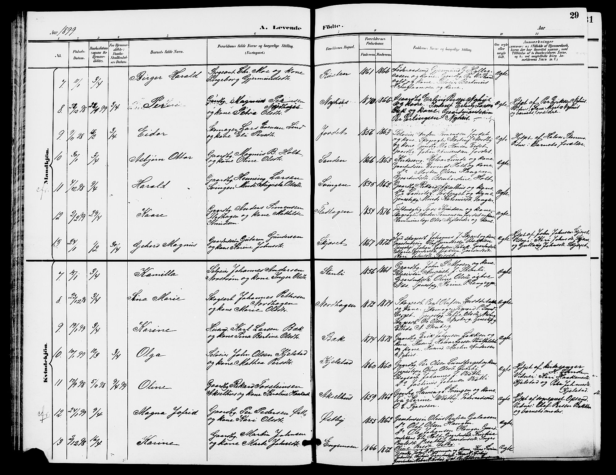 Trysil prestekontor, SAH/PREST-046/H/Ha/Hab/L0006: Parish register (copy) no. 6, 1896-1912, p. 29