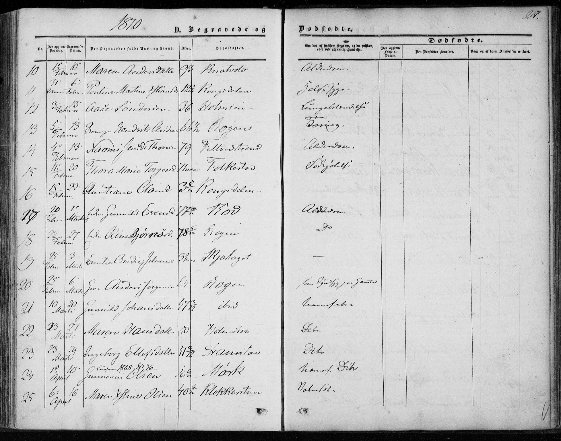 Hurum kirkebøker, SAKO/A-229/F/Fa/L0012: Parish register (official) no. 12, 1861-1875, p. 217