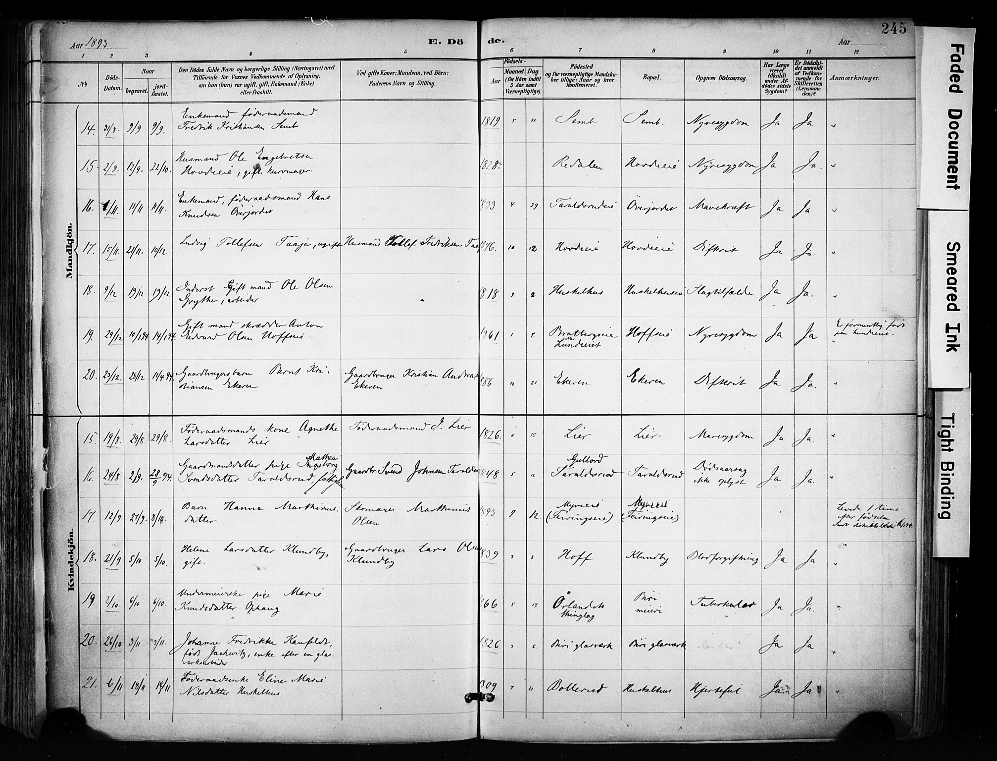 Biri prestekontor, AV/SAH-PREST-096/H/Ha/Haa/L0009: Parish register (official) no. 9, 1887-1900, p. 245