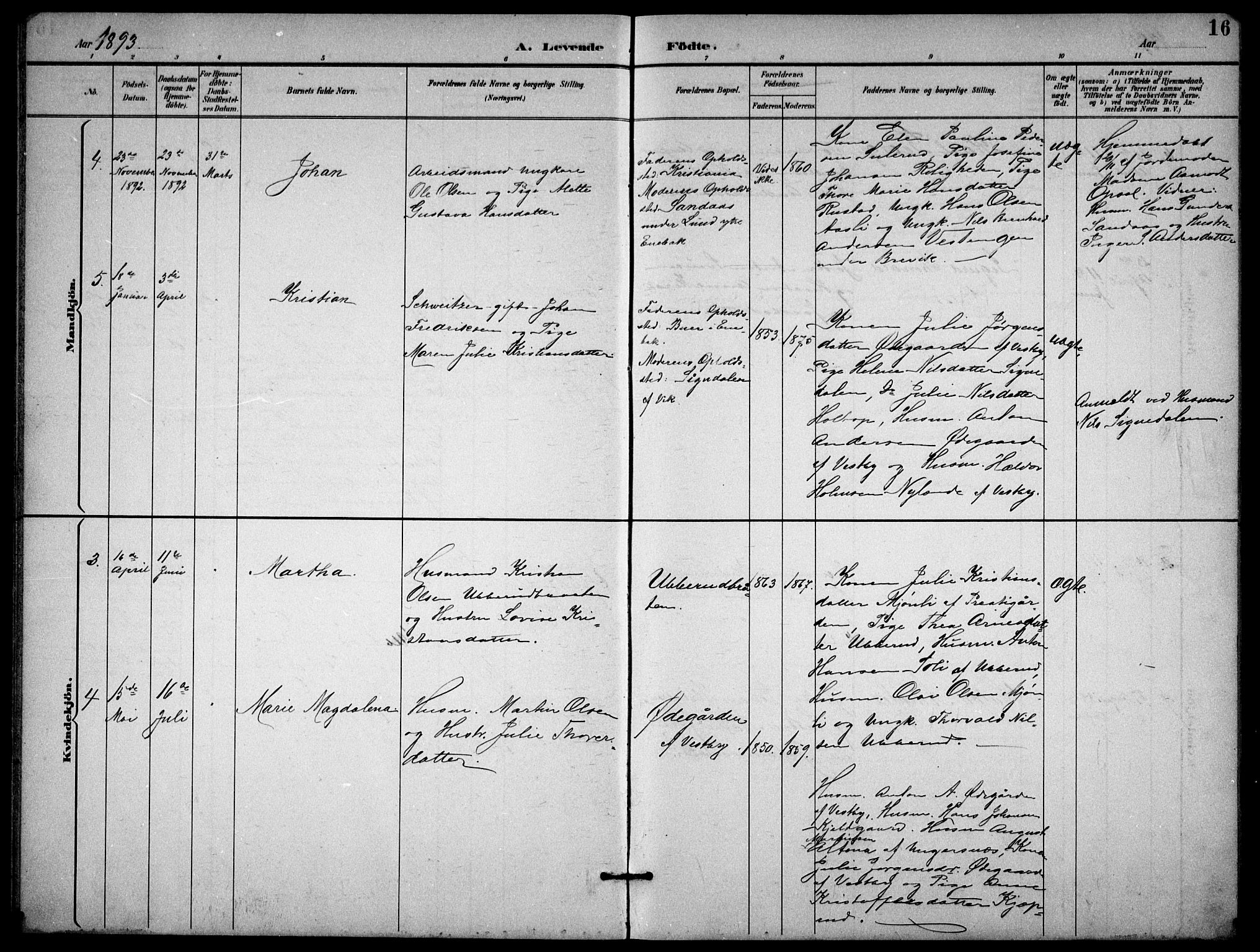 Enebakk prestekontor Kirkebøker, SAO/A-10171c/G/Gb/L0002: Parish register (copy) no. II 2, 1891-1903, p. 16