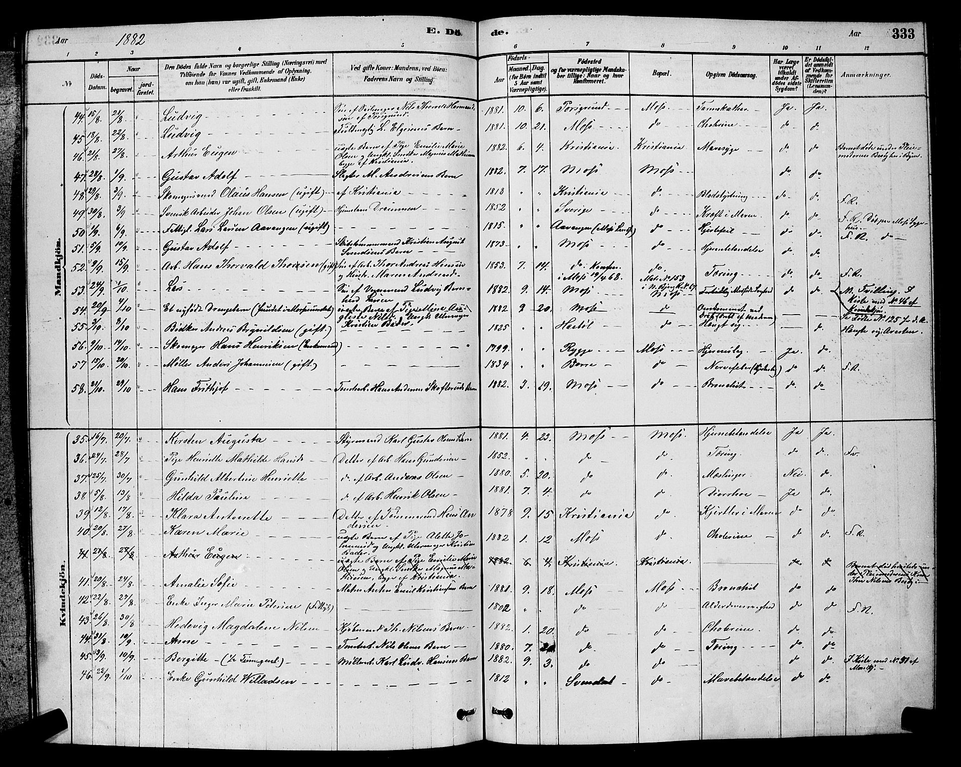 Moss prestekontor Kirkebøker, AV/SAO-A-2003/G/Ga/L0005: Parish register (copy) no. I 5, 1878-1888, p. 333