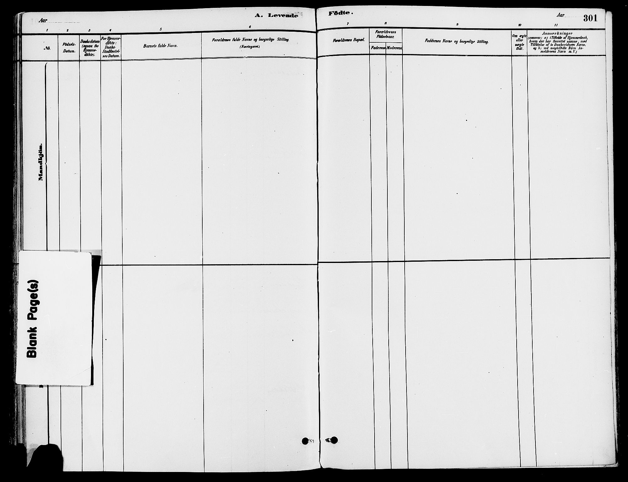 Trysil prestekontor, AV/SAH-PREST-046/H/Ha/Haa/L0008: Parish register (official) no. 8, 1881-1897, p. 301