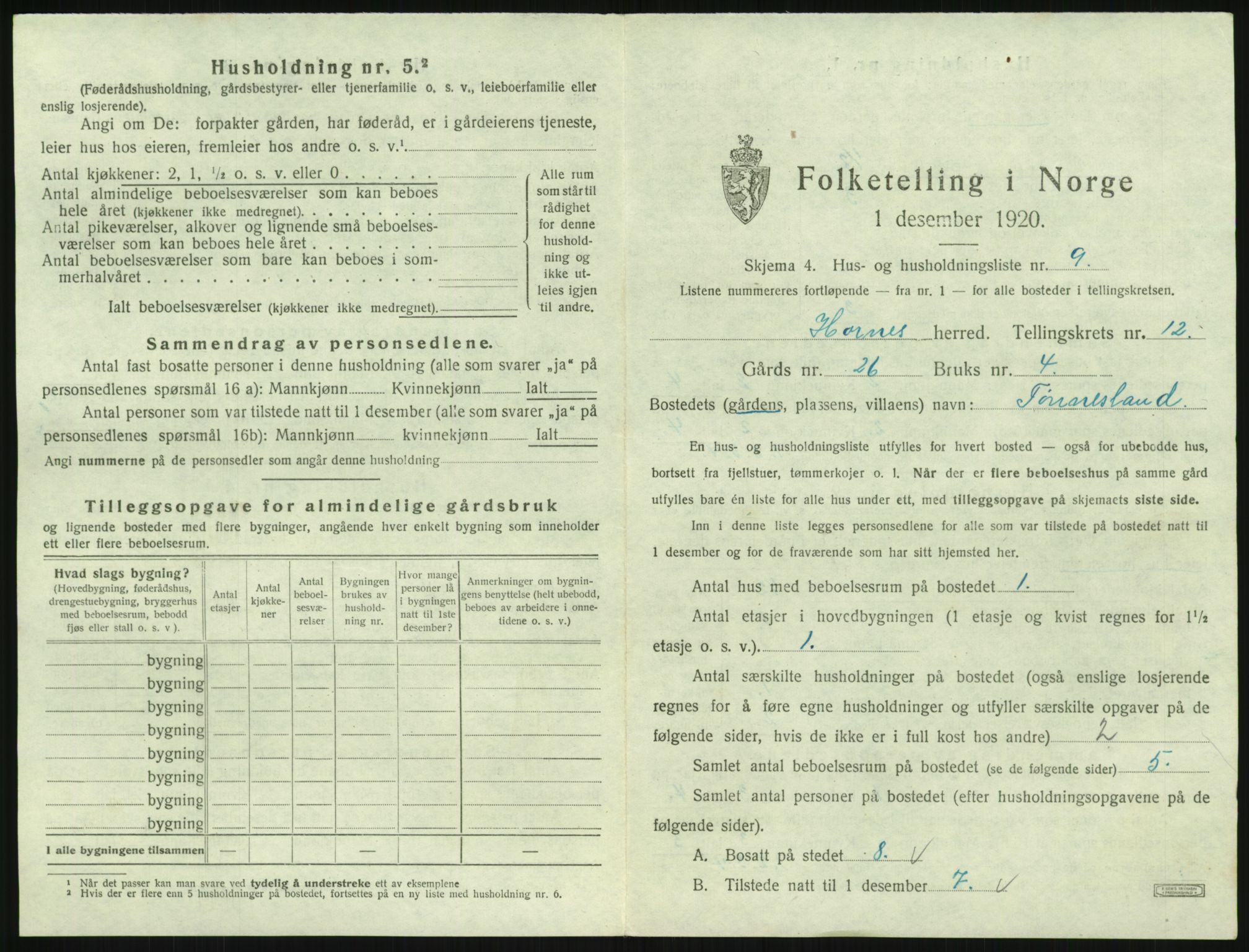 SAK, 1920 census for Hornnes, 1920, p. 489