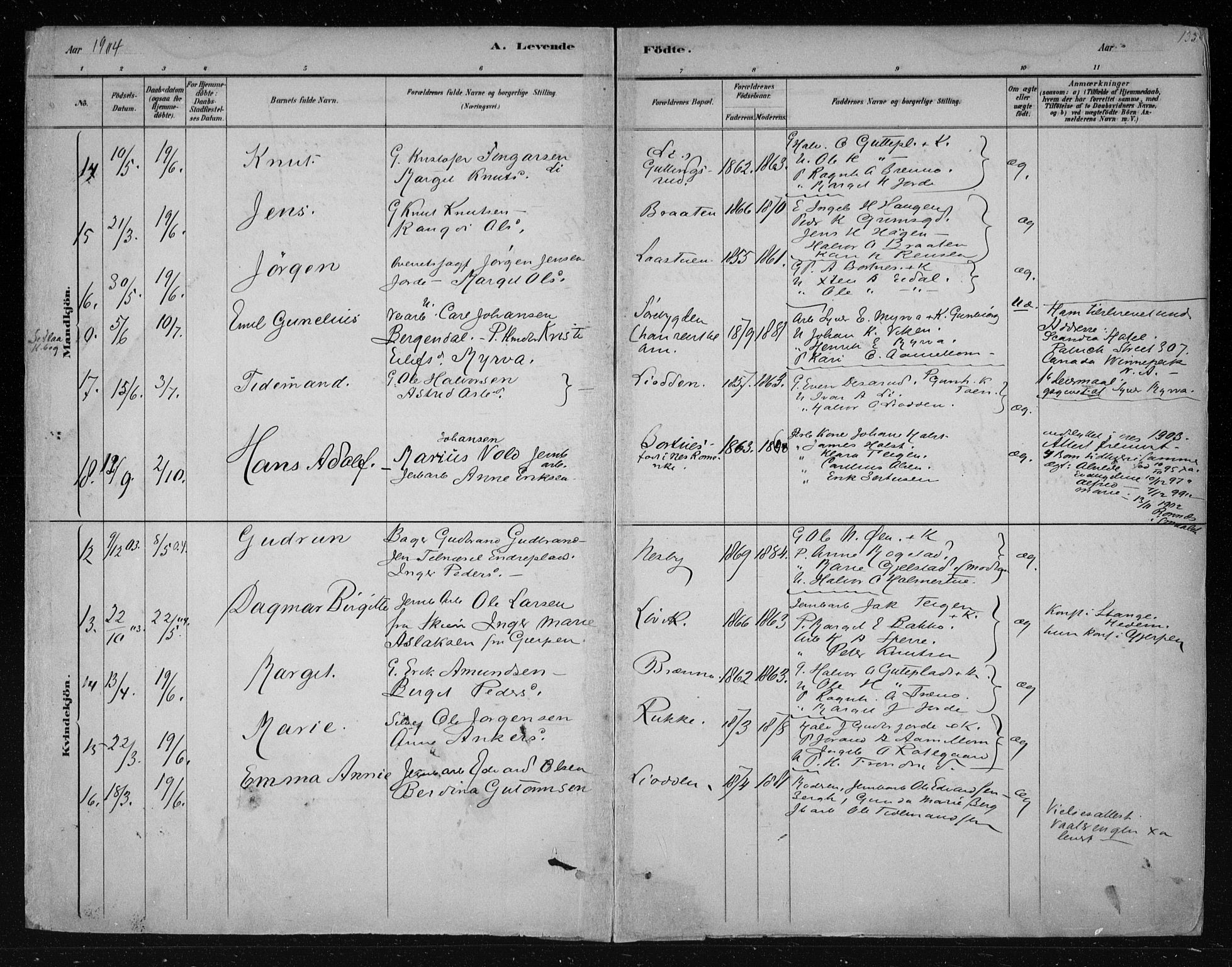 Nes kirkebøker, AV/SAKO-A-236/F/Fa/L0011: Parish register (official) no. 11, 1881-1912, p. 133
