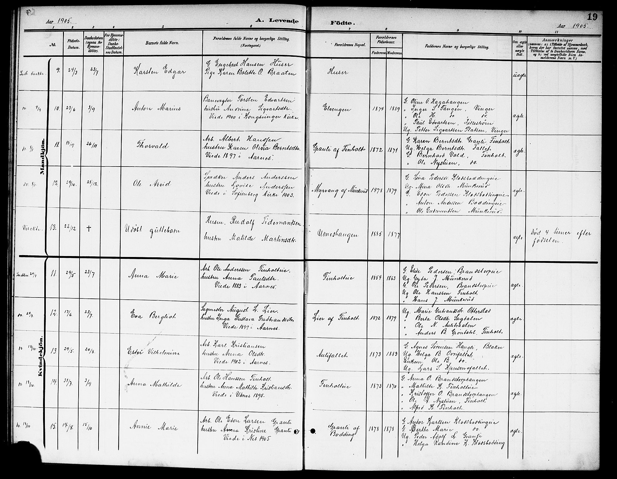 Nes prestekontor Kirkebøker, AV/SAO-A-10410/G/Gb/L0001: Parish register (copy) no. II 1, 1901-1917, p. 19