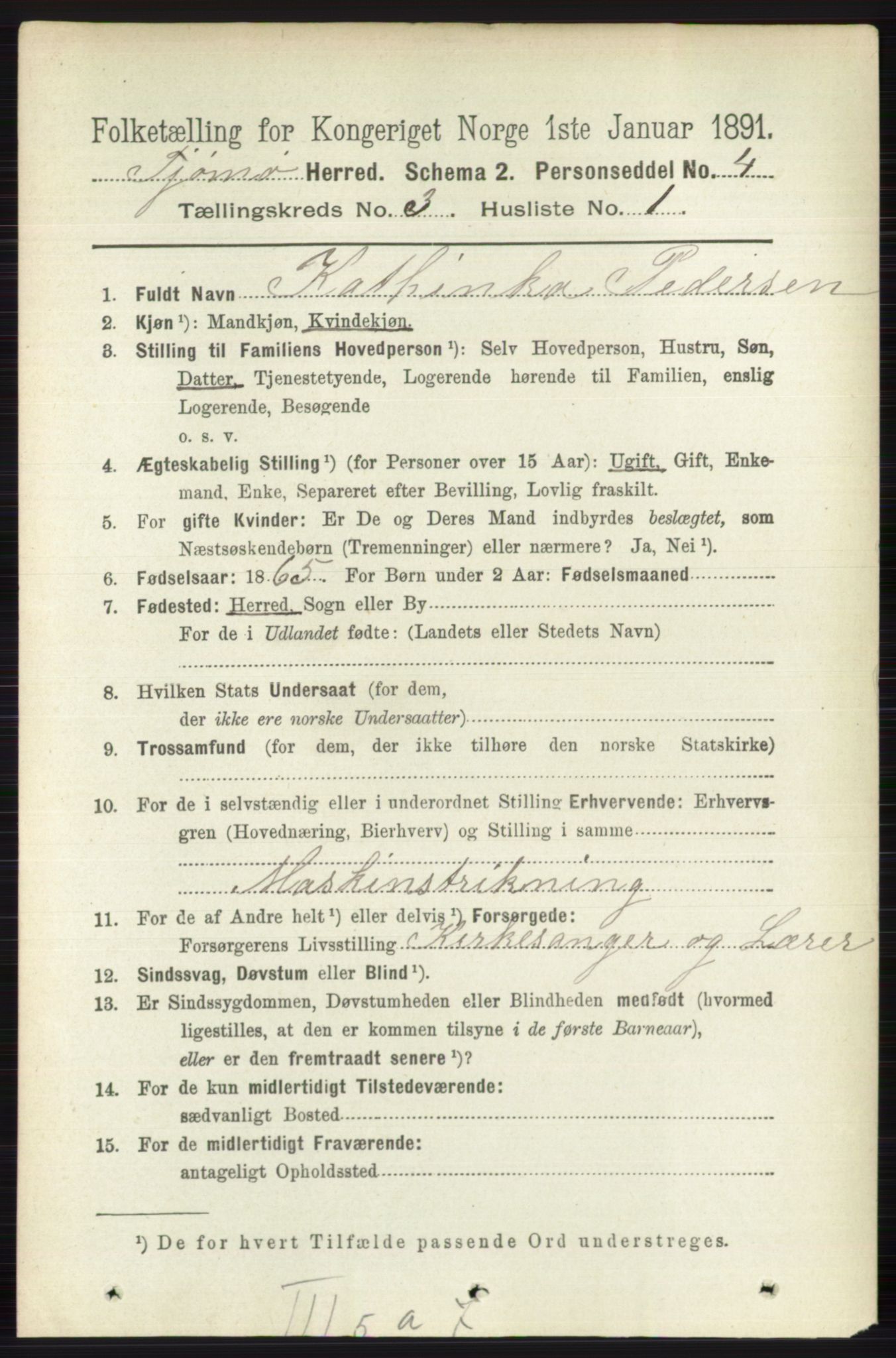 RA, 1891 census for 0723 Tjøme, 1891, p. 869