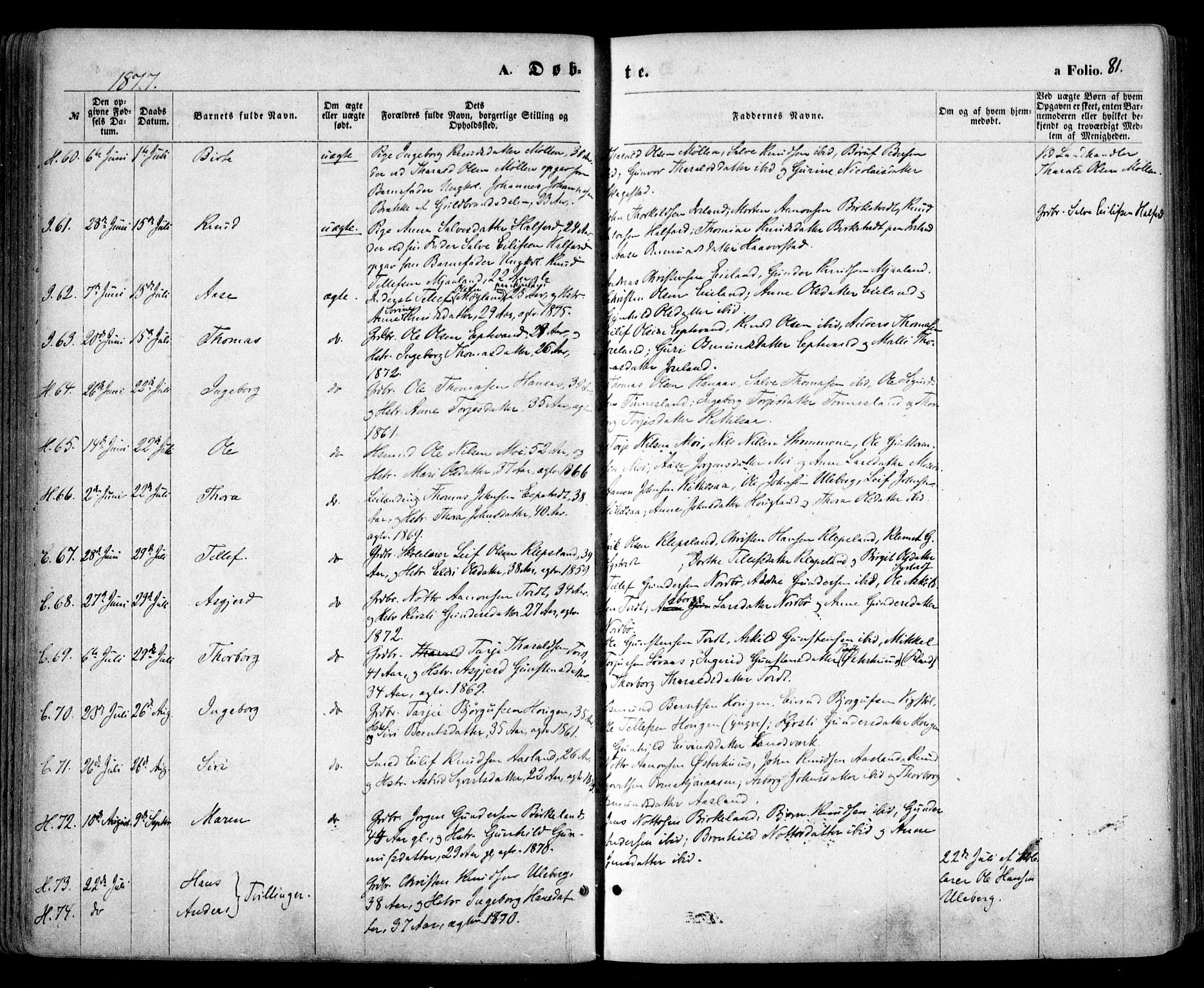 Evje sokneprestkontor, AV/SAK-1111-0008/F/Fa/Faa/L0006: Parish register (official) no. A 6, 1866-1884, p. 81