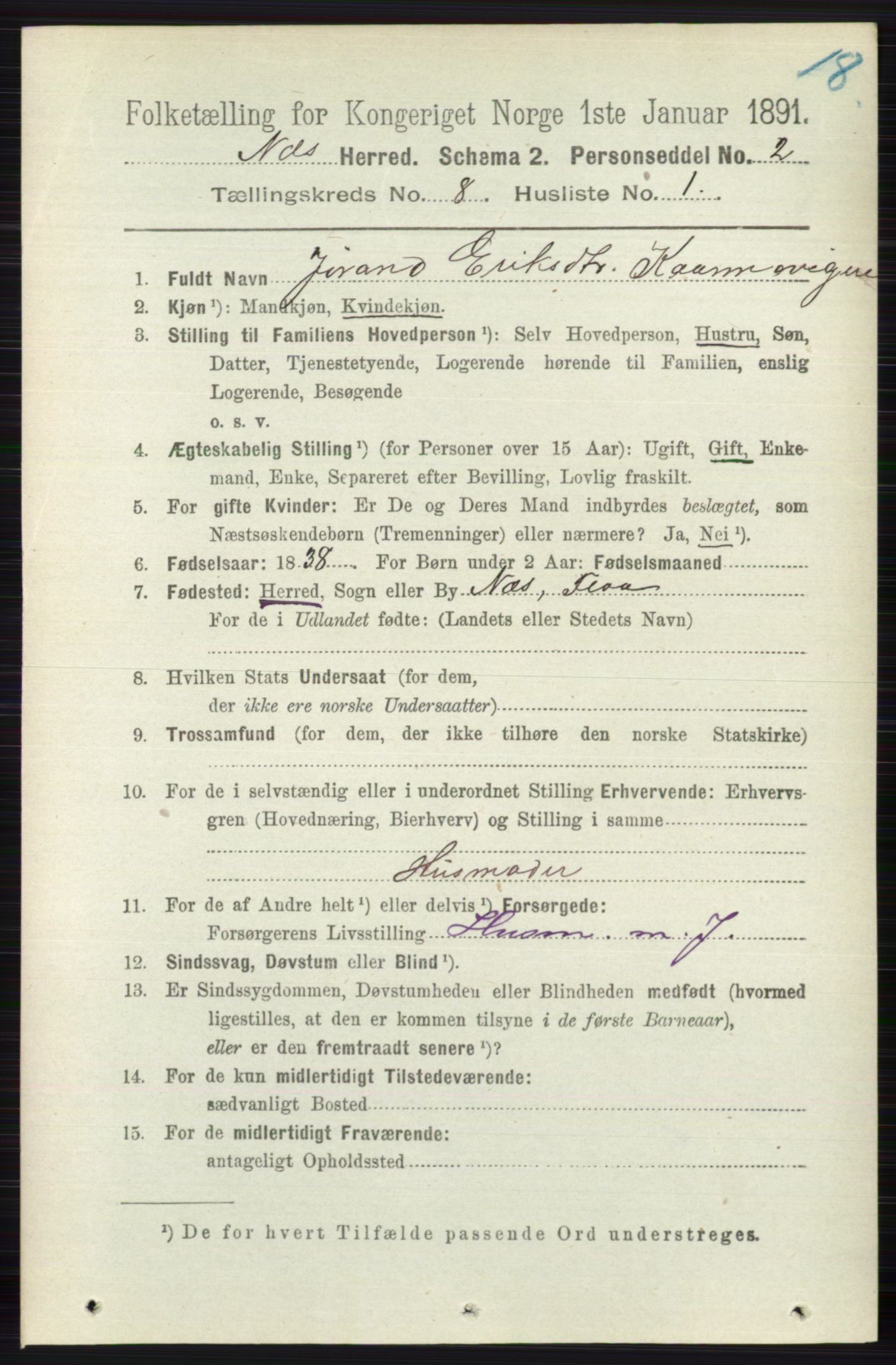 RA, 1891 census for 0616 Nes, 1891, p. 4080