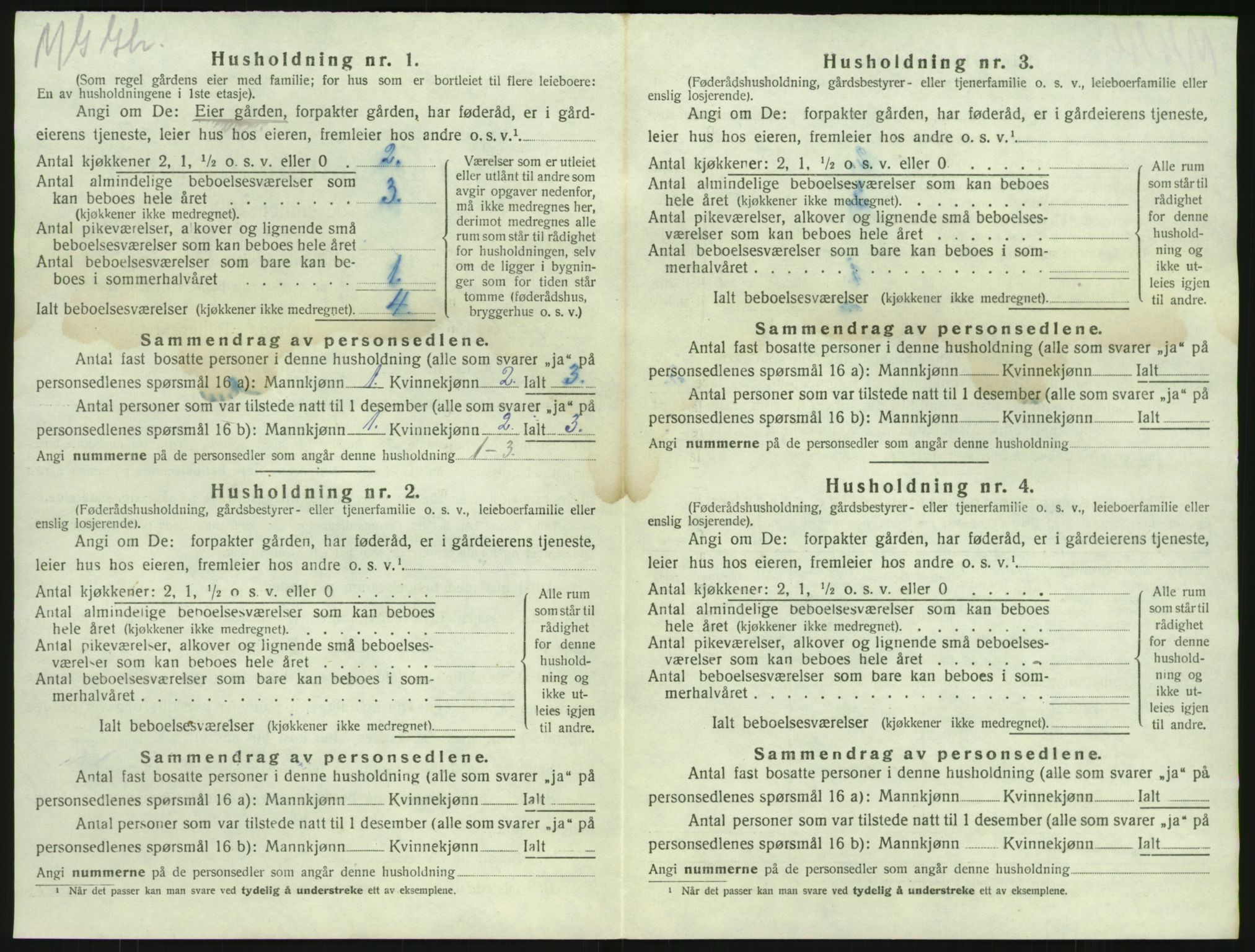 SAKO, 1920 census for Brunlanes, 1920, p. 474